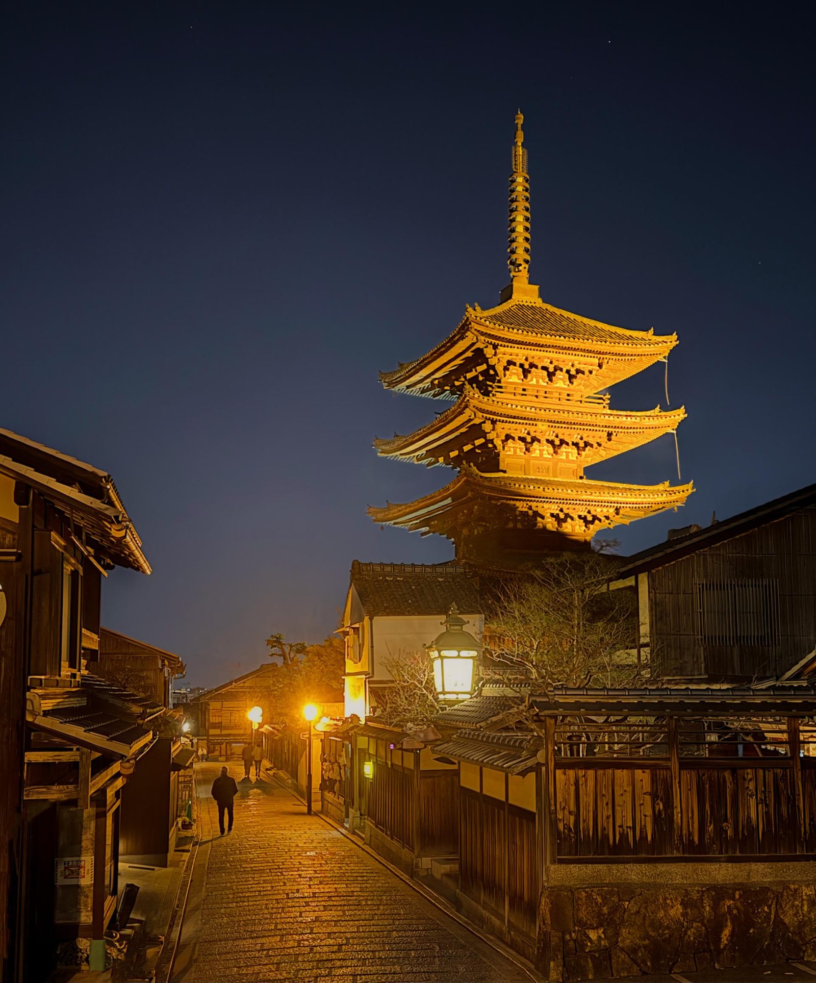 European Photography Awards Winner - Nighttime  Hokan-ji Temple, Kyoto