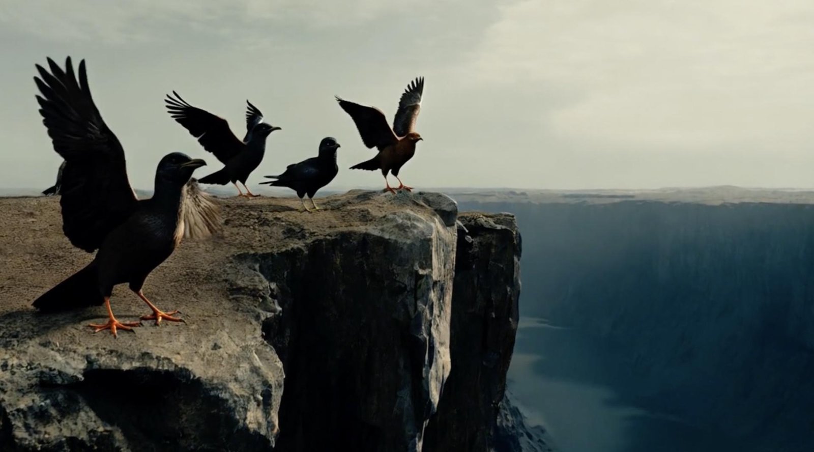 European Photography Awards Winner - CLIFFS AND WINGS