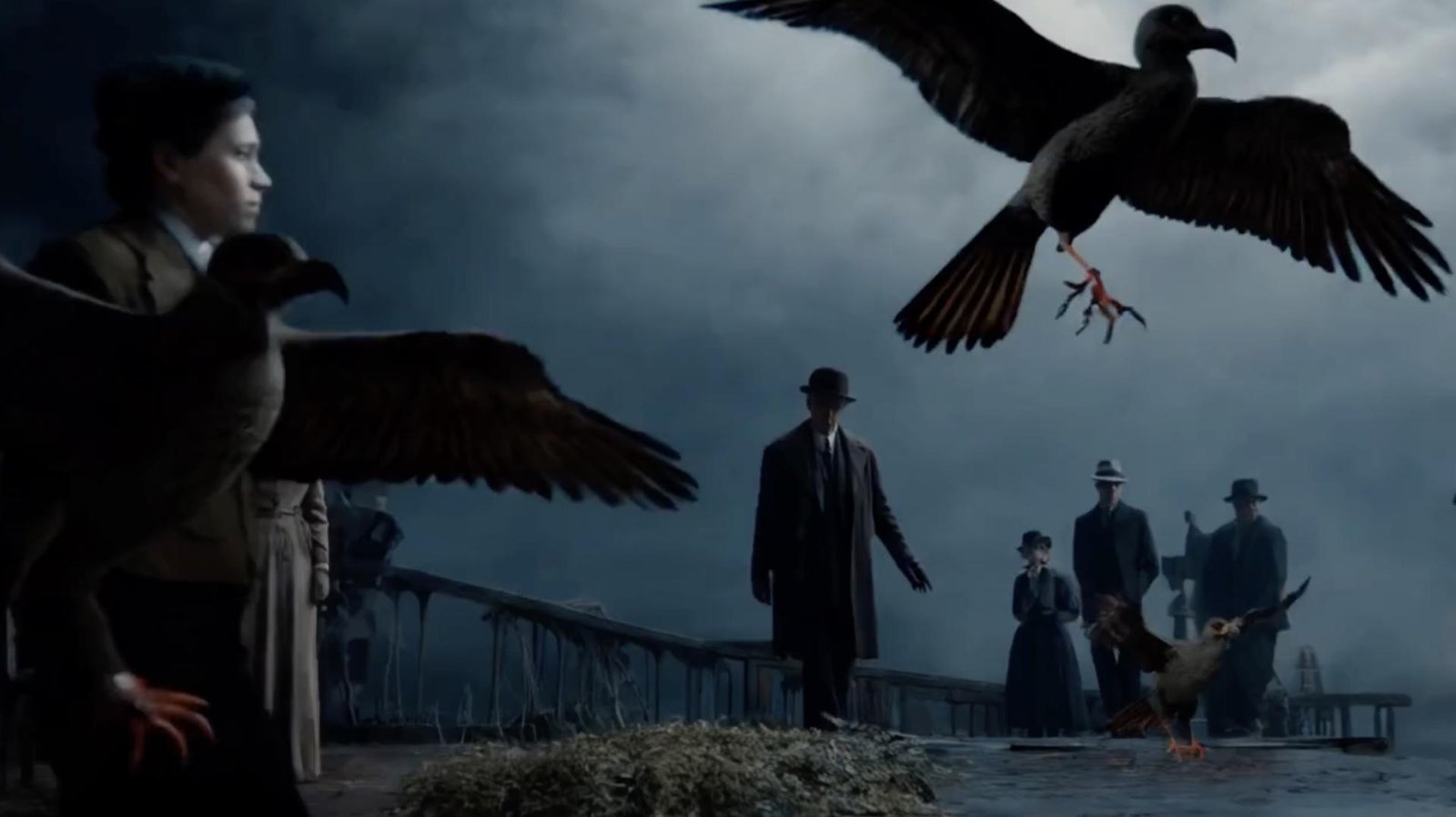 European Photography Awards Winner - CLIFFS AND WINGS