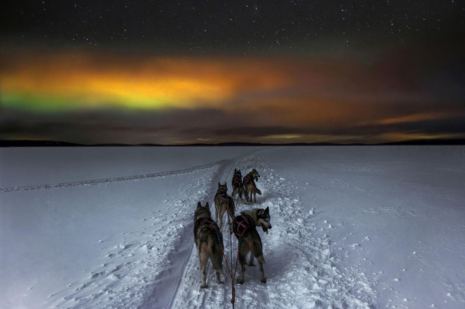 European Photography Awards Winner - Aurora Hunter