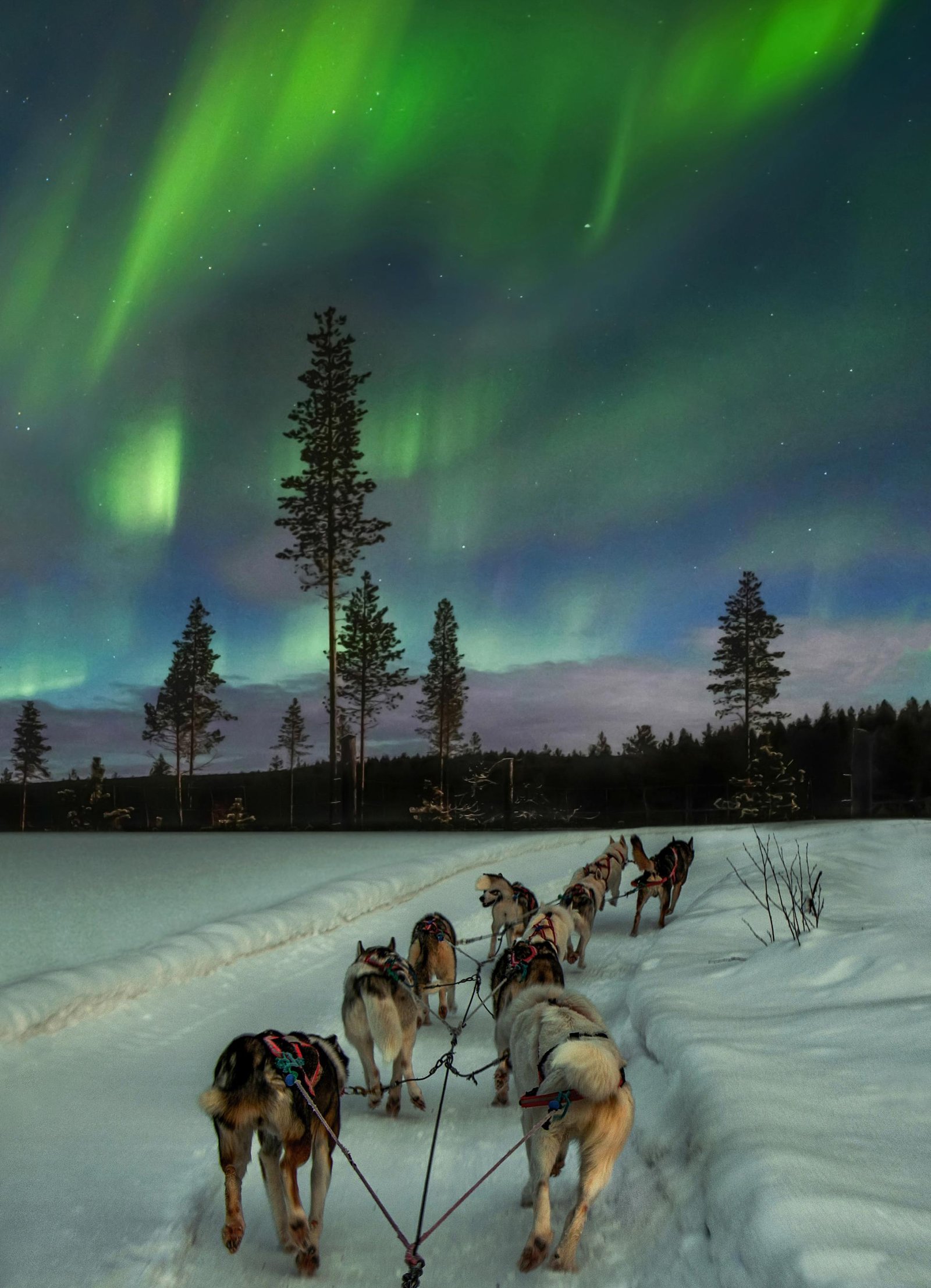 European Photography Awards Winner - Aurora Hunter