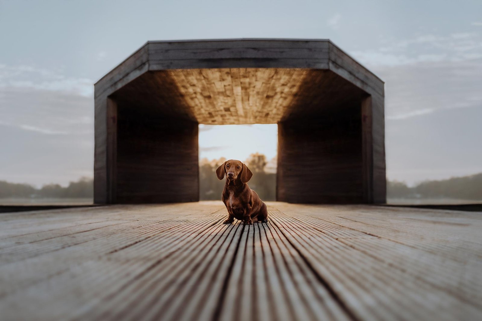 European Photography Awards Winner - Centered in Serenity