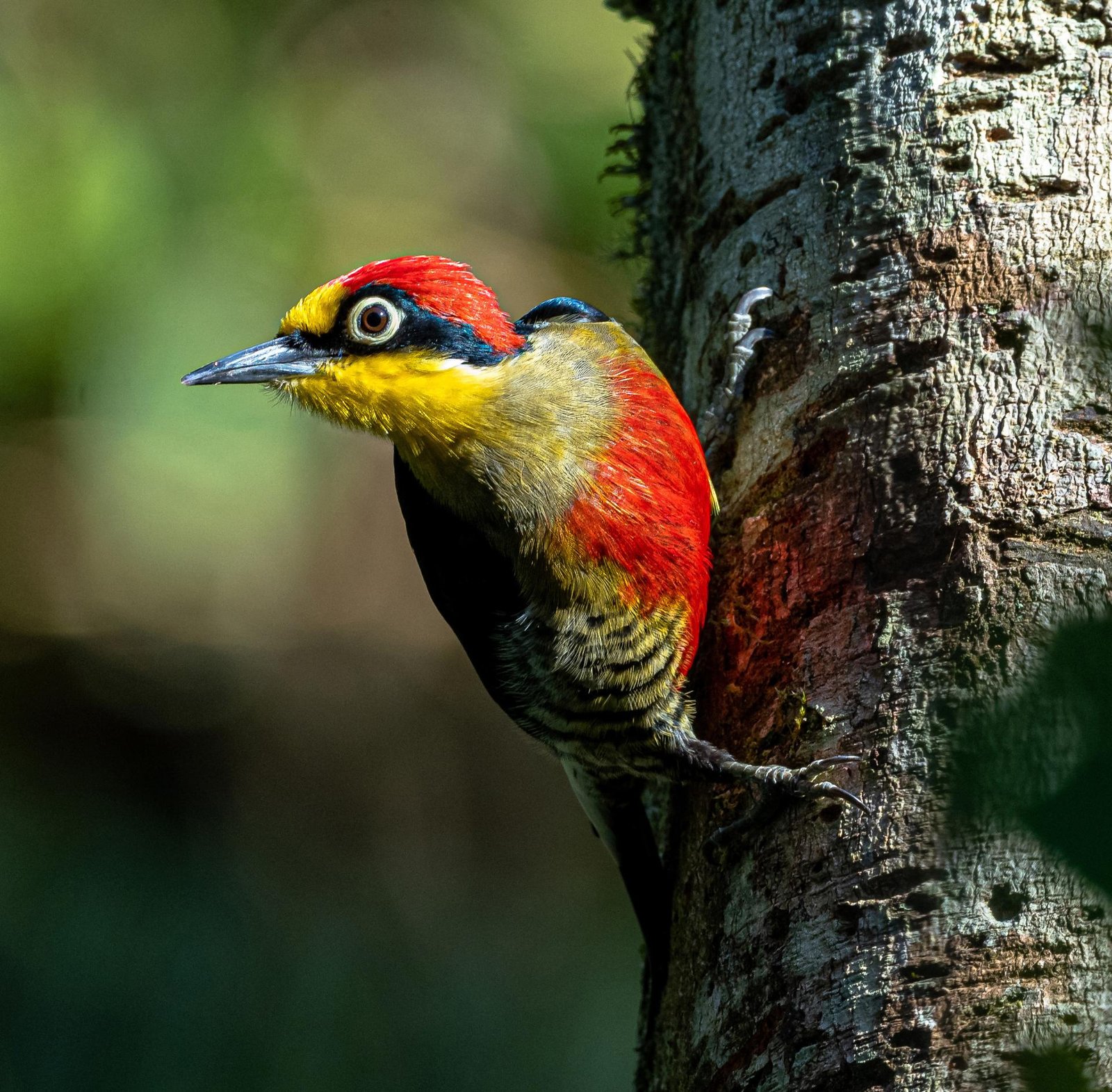 European Photography Awards Winner - Hello There! 