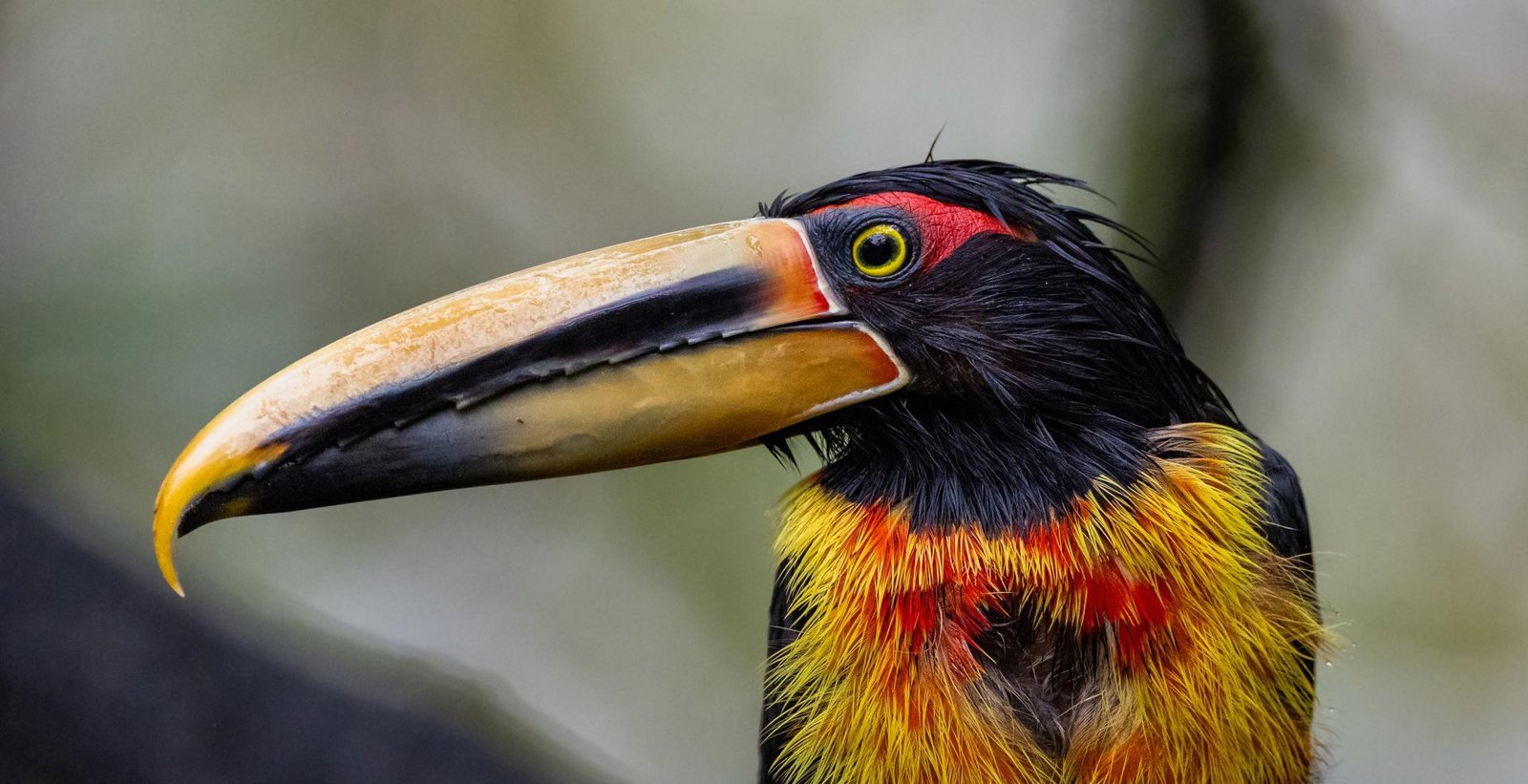 European Photography Awards Winner - Wet Look