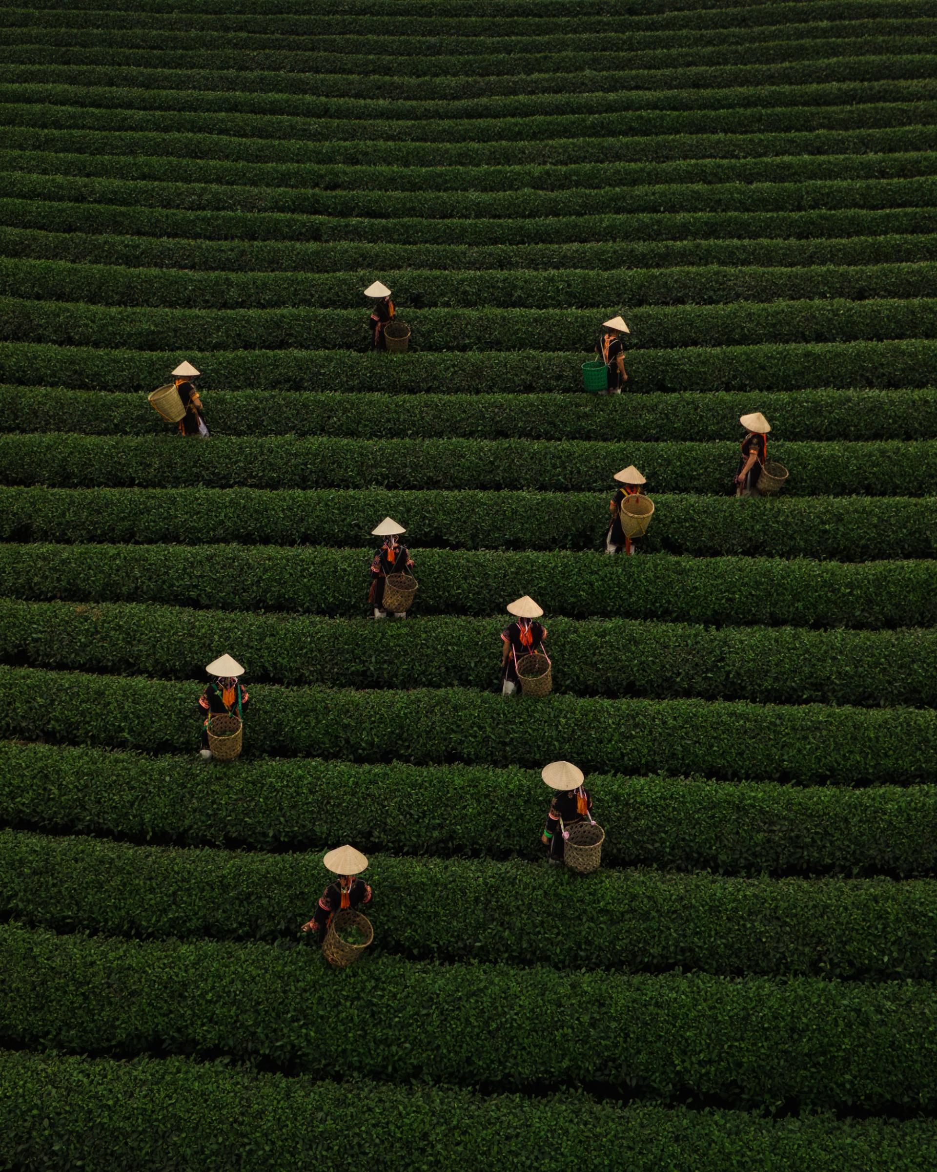 European Photography Awards Winner - Traditions from Above: Stories of Vietnam’s Craft & Culture