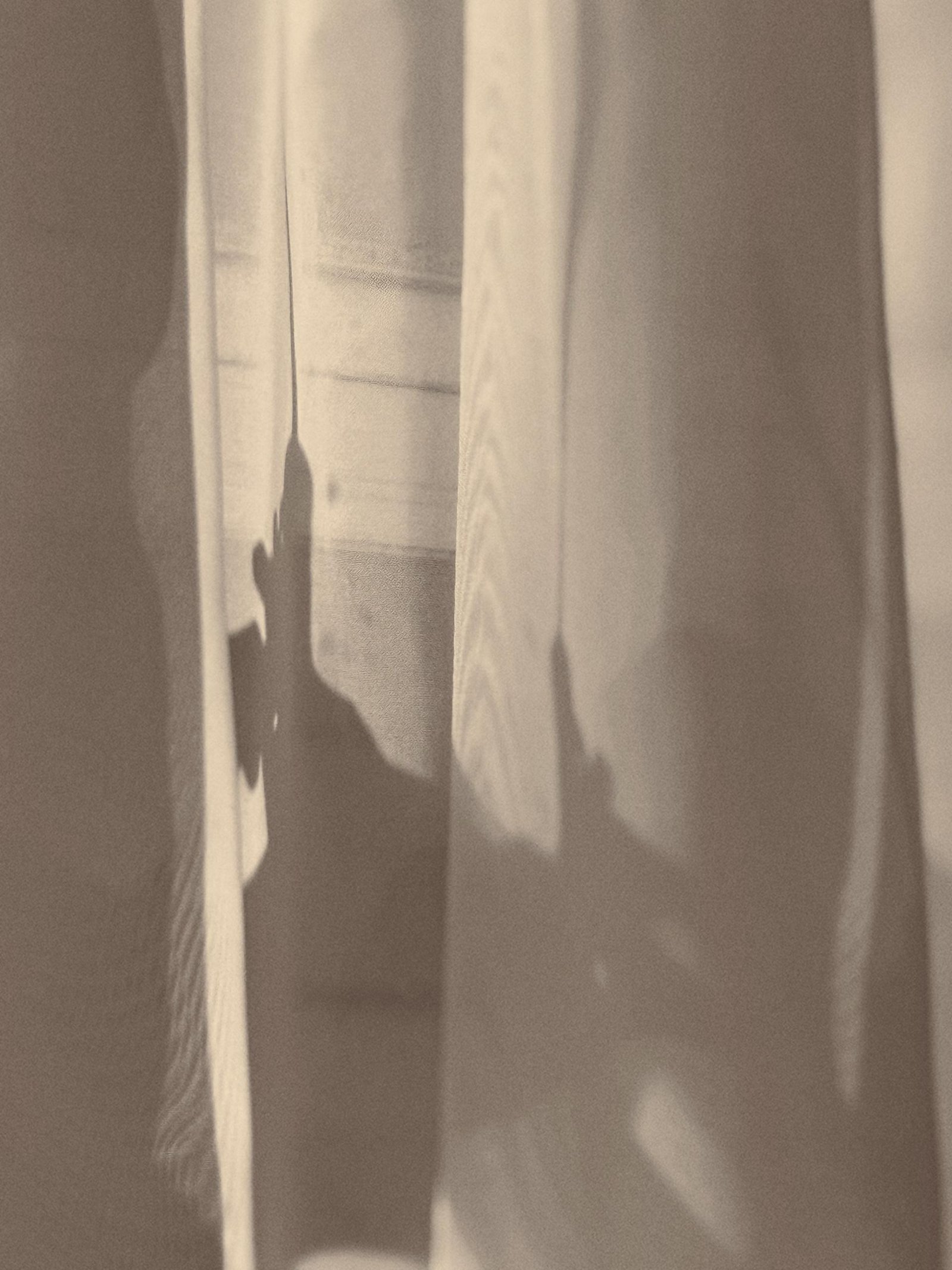 European Photography Awards Winner - Adolescence