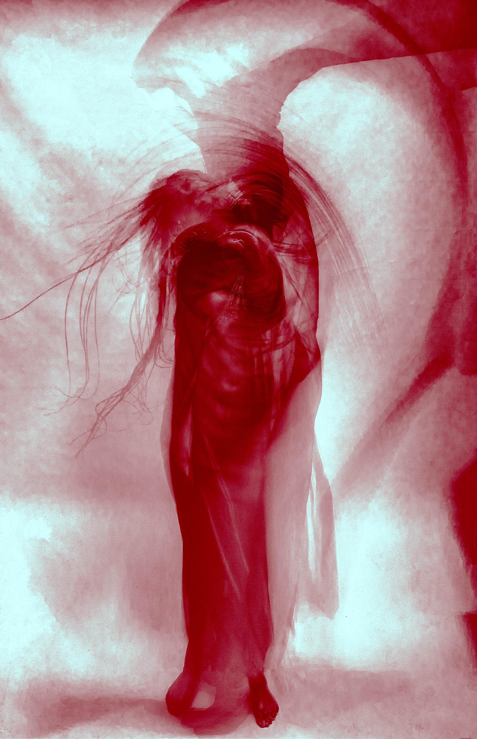 European Photography Awards Winner - Silent Anatomy 