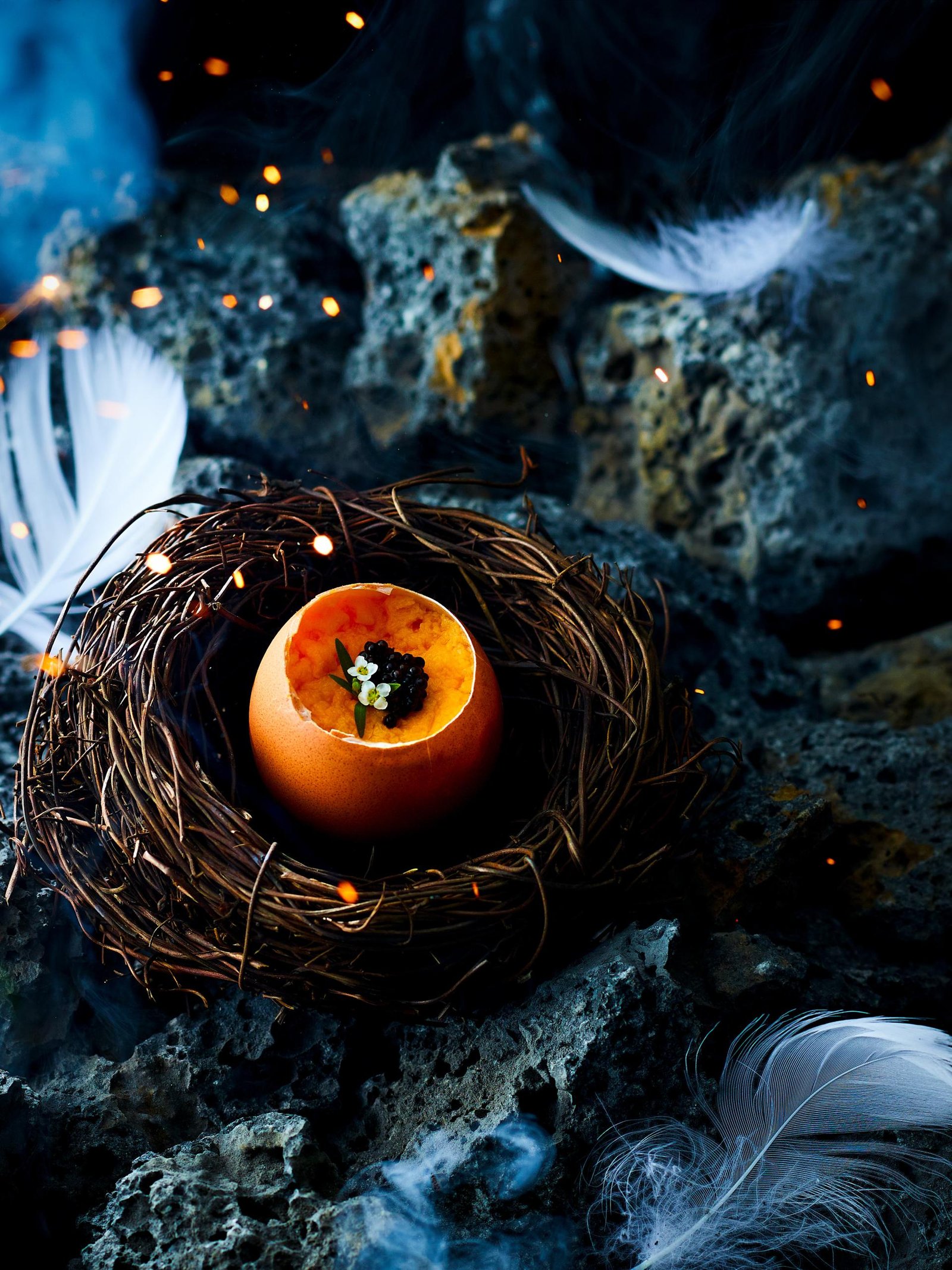 European Photography Awards Winner - Phoenix