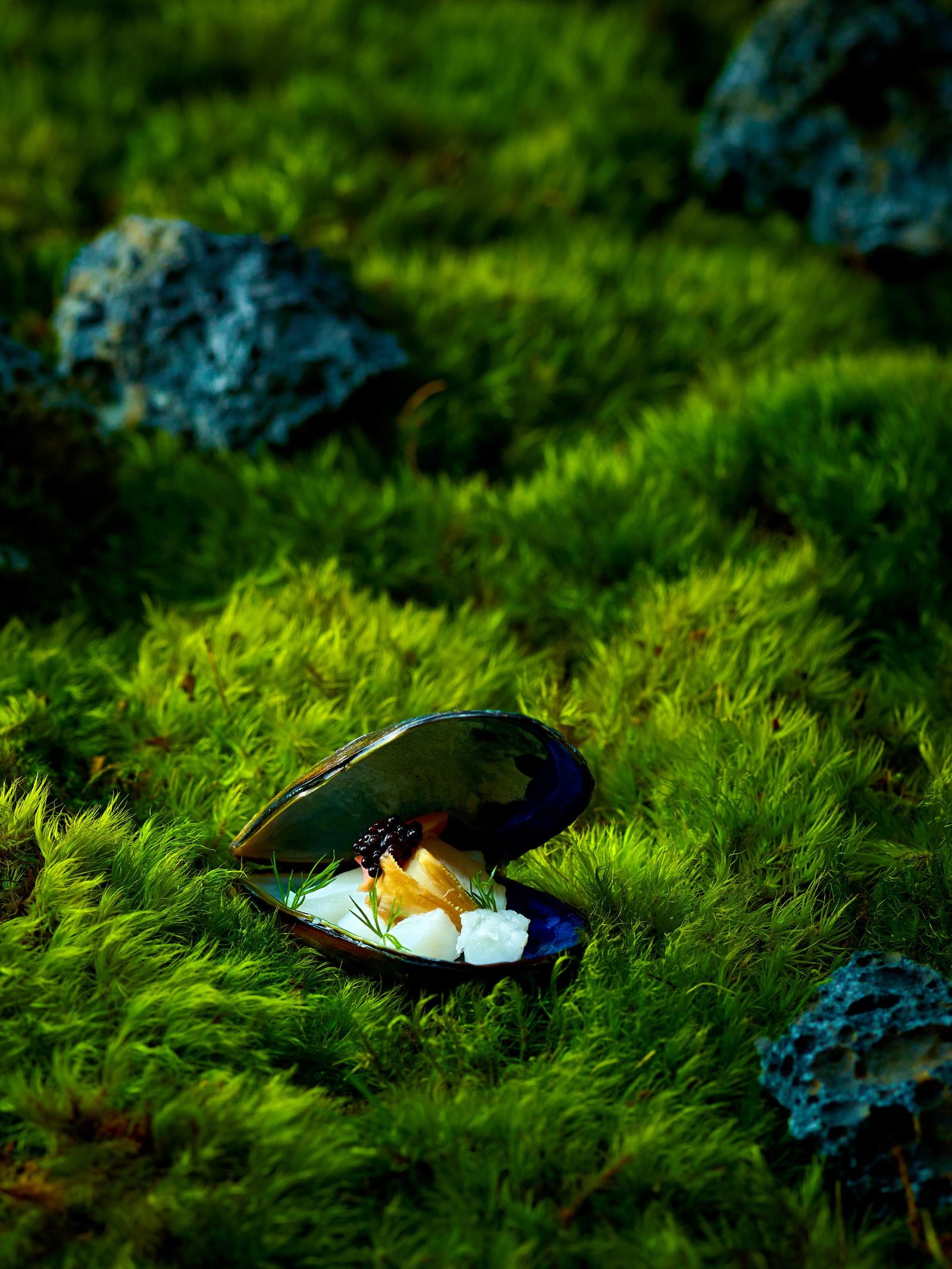 European Photography Awards Winner - Mysterious Forest