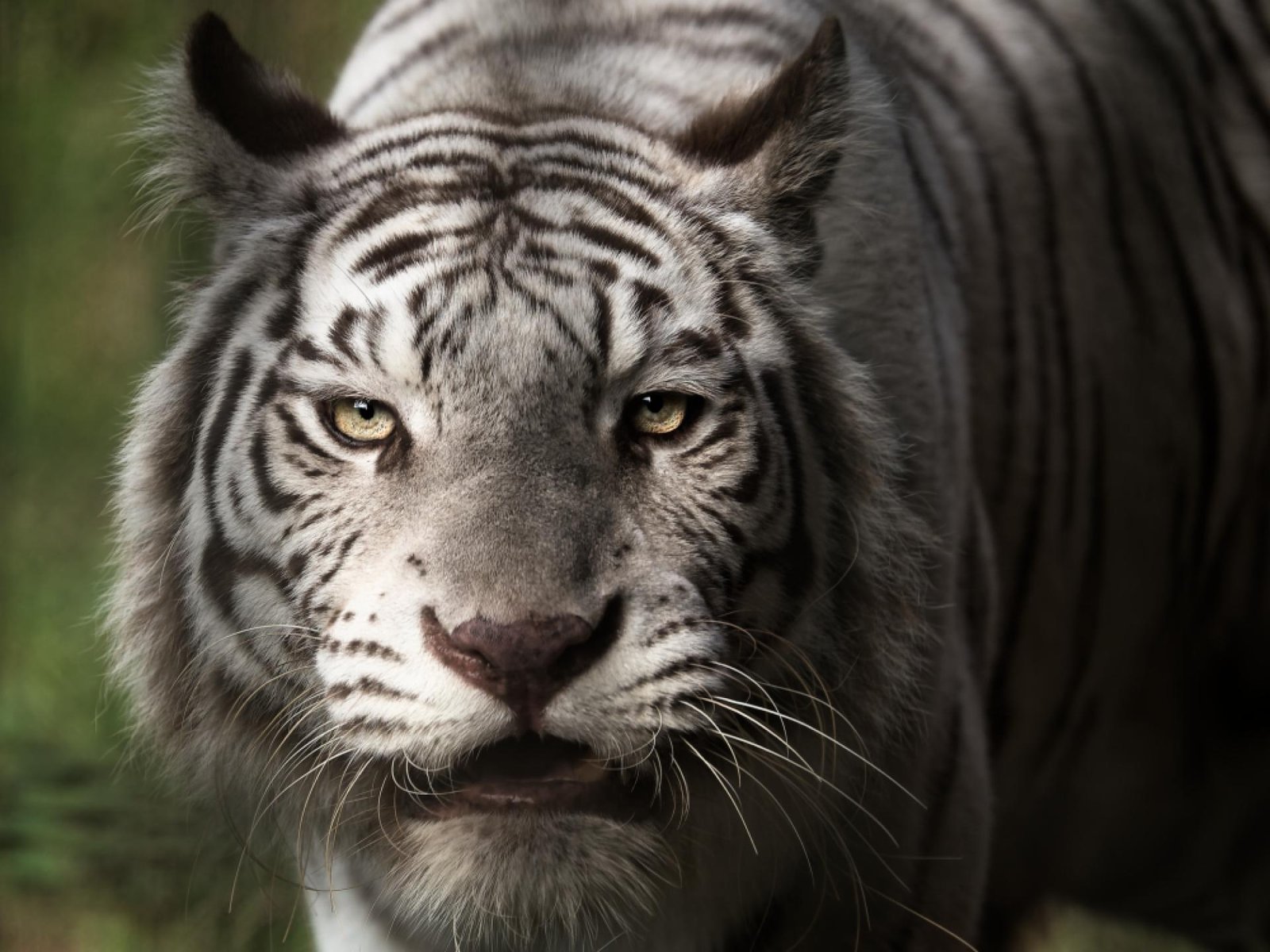 European Photography Awards Winner - The face of a mother protecting her child