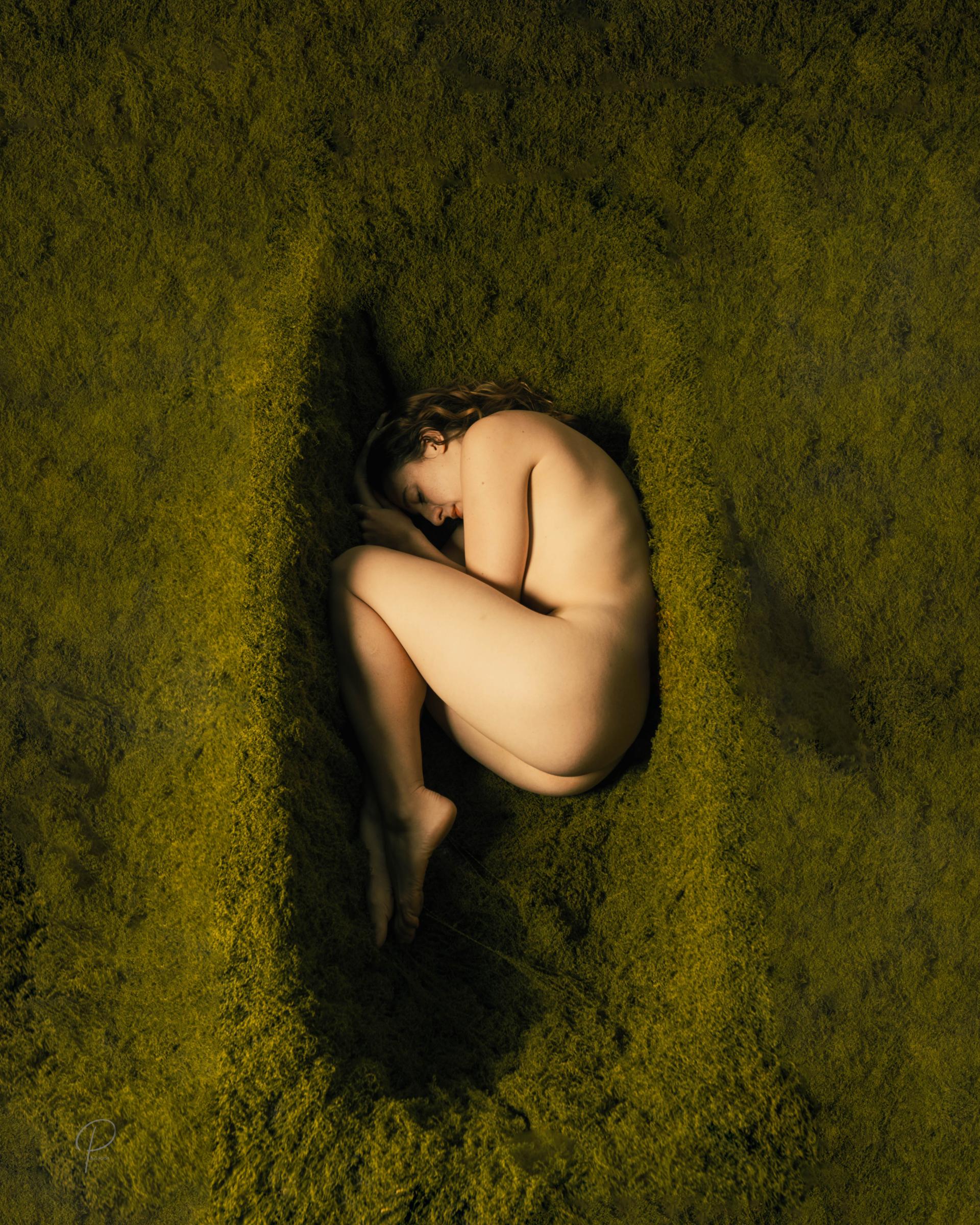 European Photography Awards Winner - Vulva