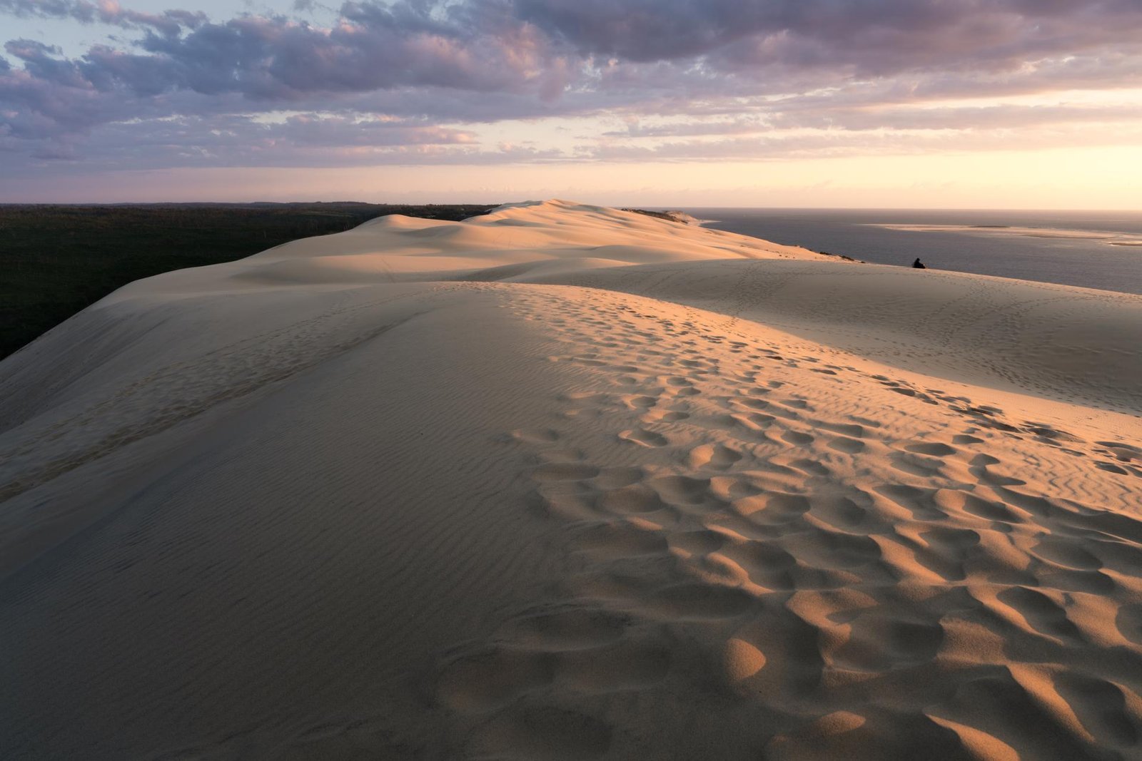 European Photography Awards Winner - Sandwalk