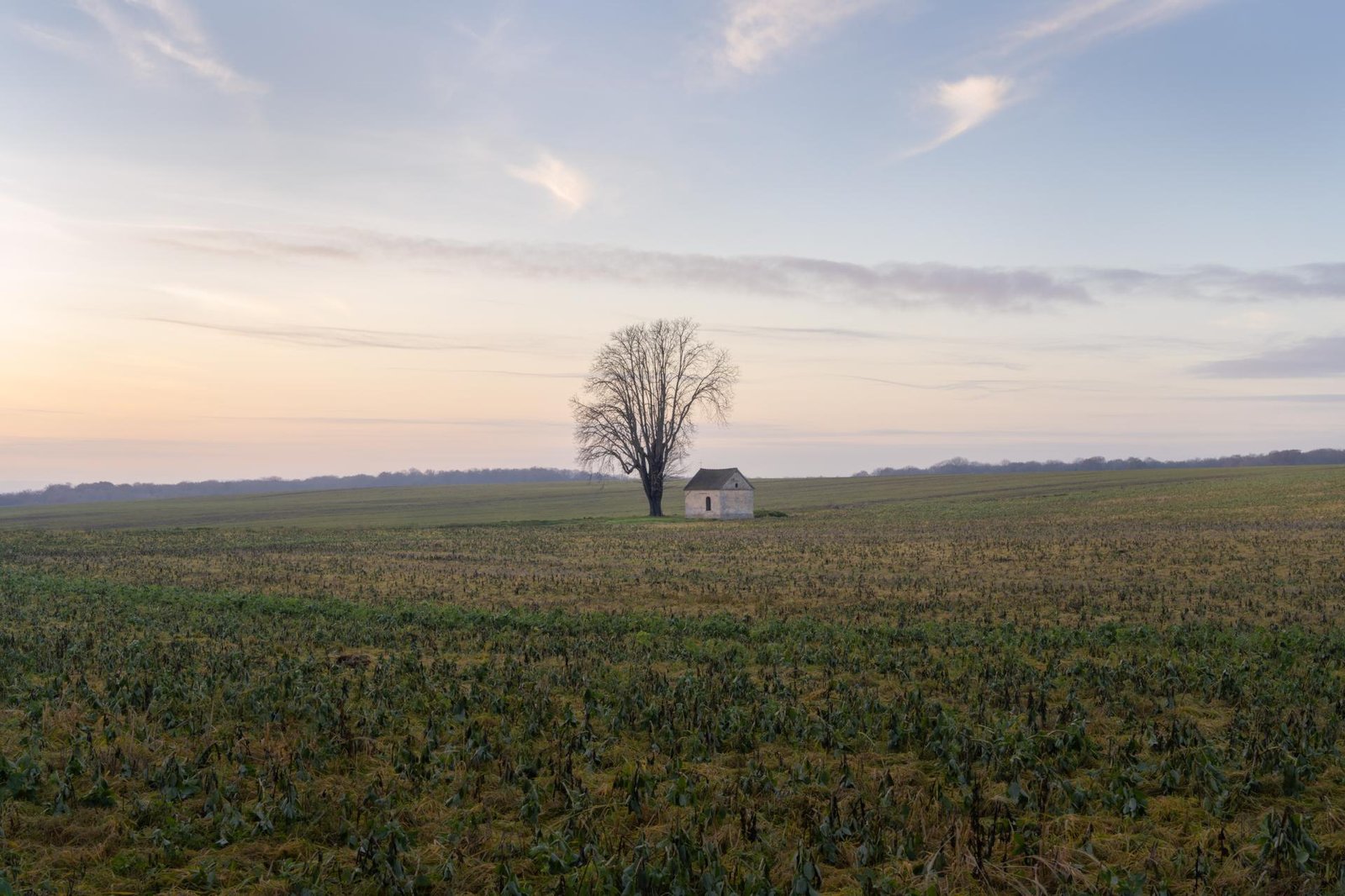 European Photography Awards Winner - Blessed fields