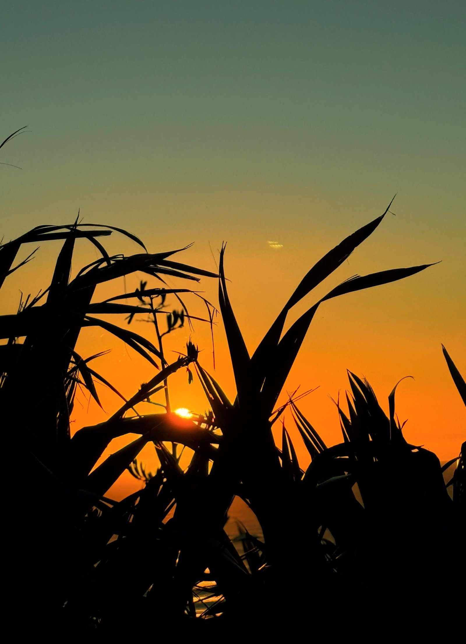 European Photography Awards Winner - Radiance of Sunset