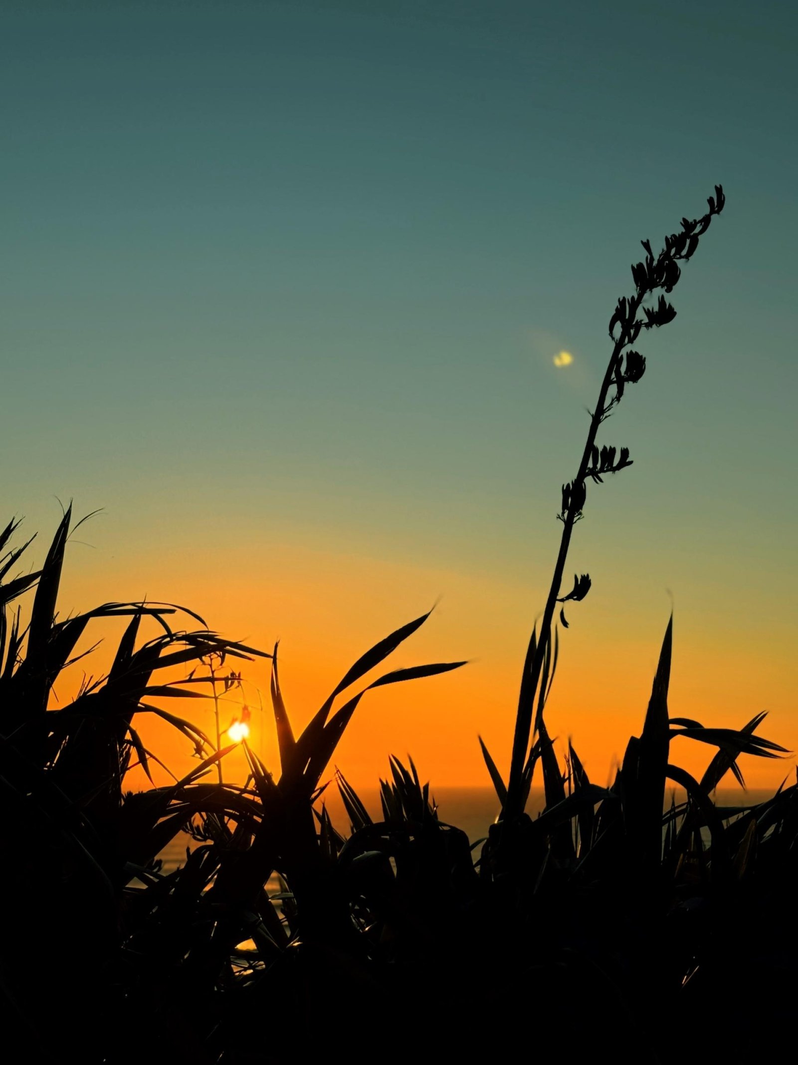 European Photography Awards Winner - Radiance of Sunset