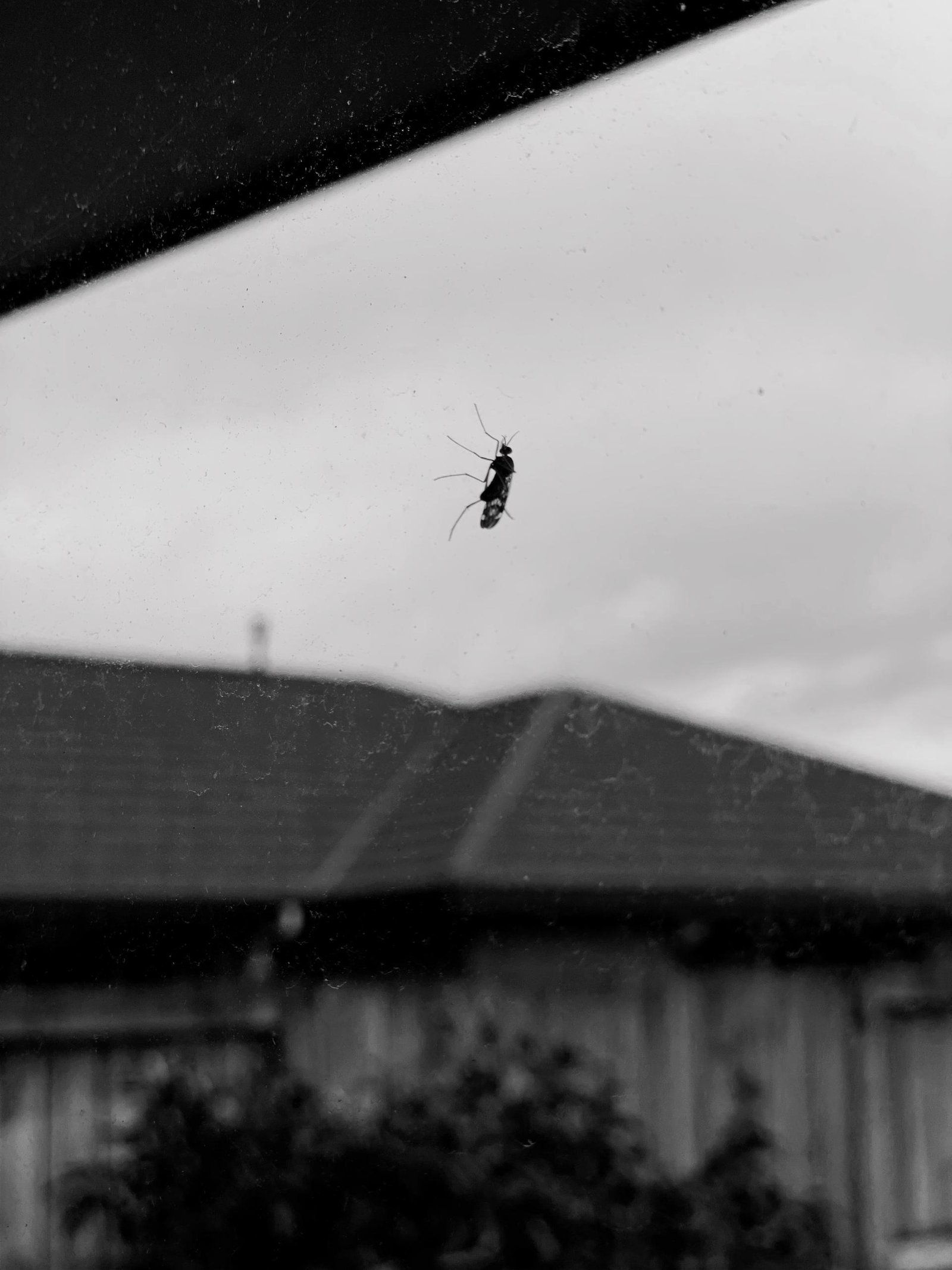 European Photography Awards Winner - Reflections in Black and White