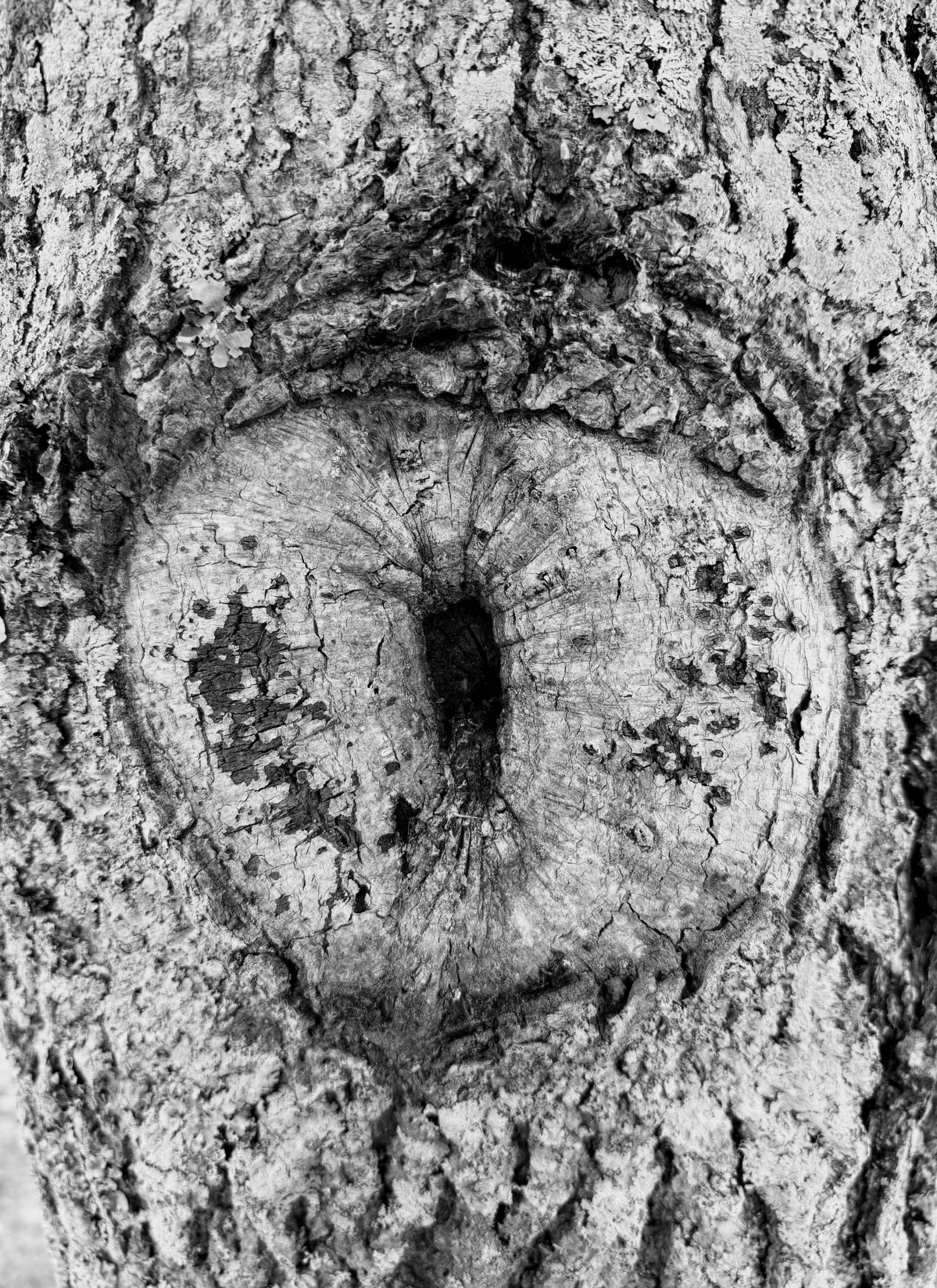 European Photography Awards Winner - Reflections in Black and White