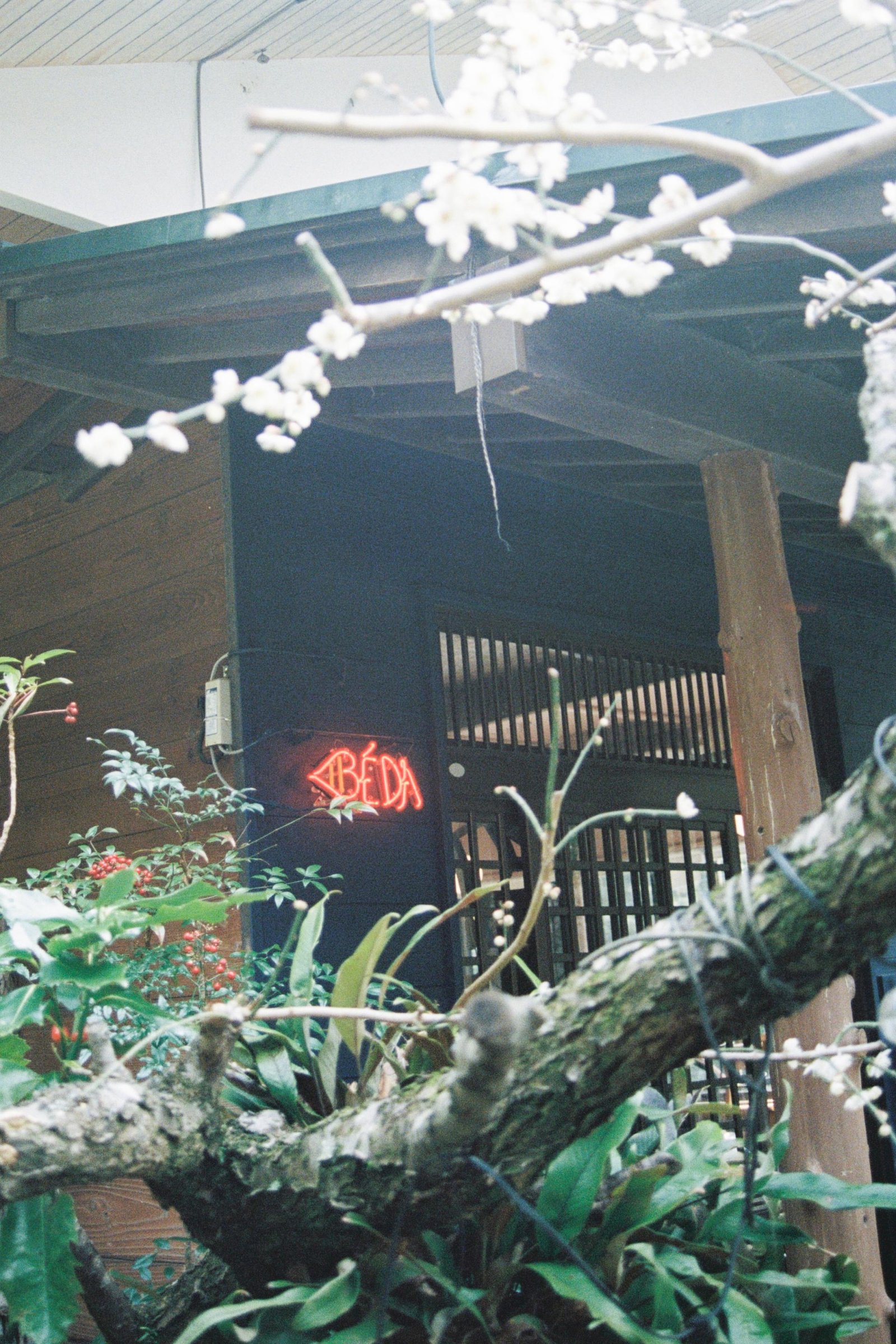 European Photography Awards Winner - Whispers of BÉDA