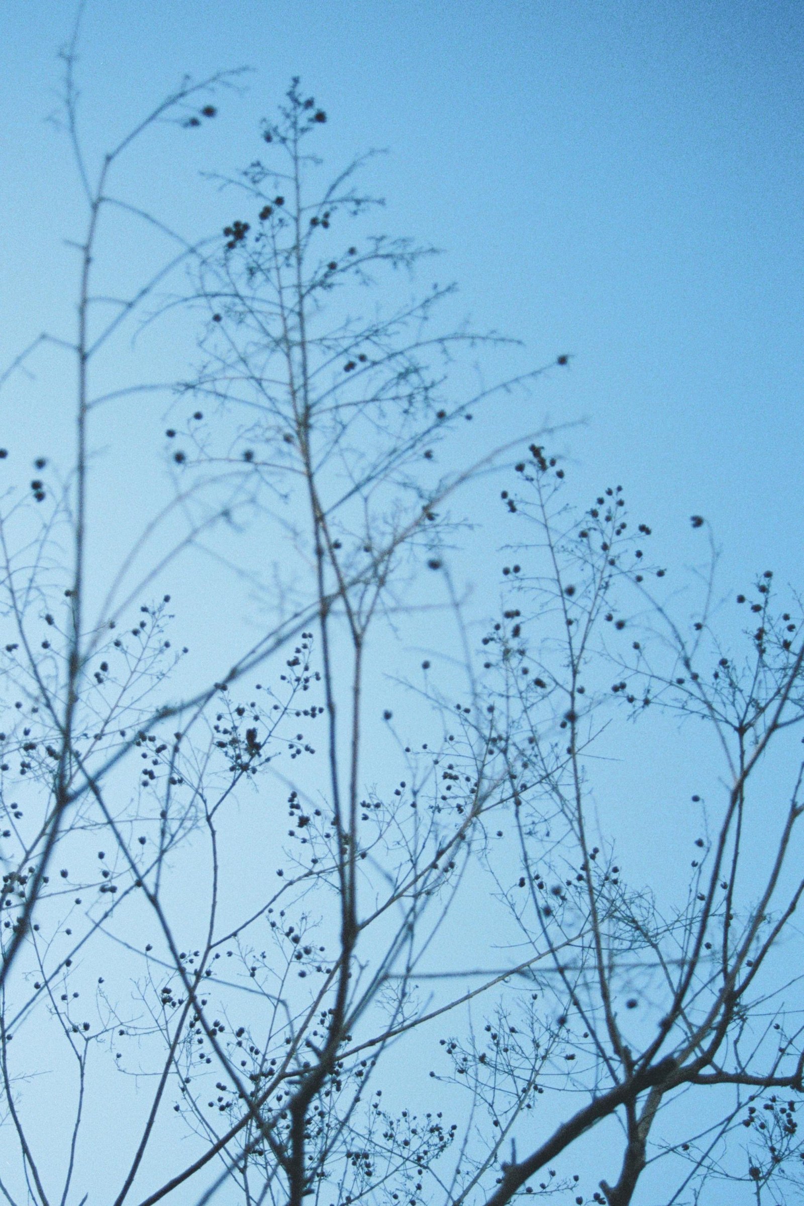 European Photography Awards Winner - Whispers of BÉDA