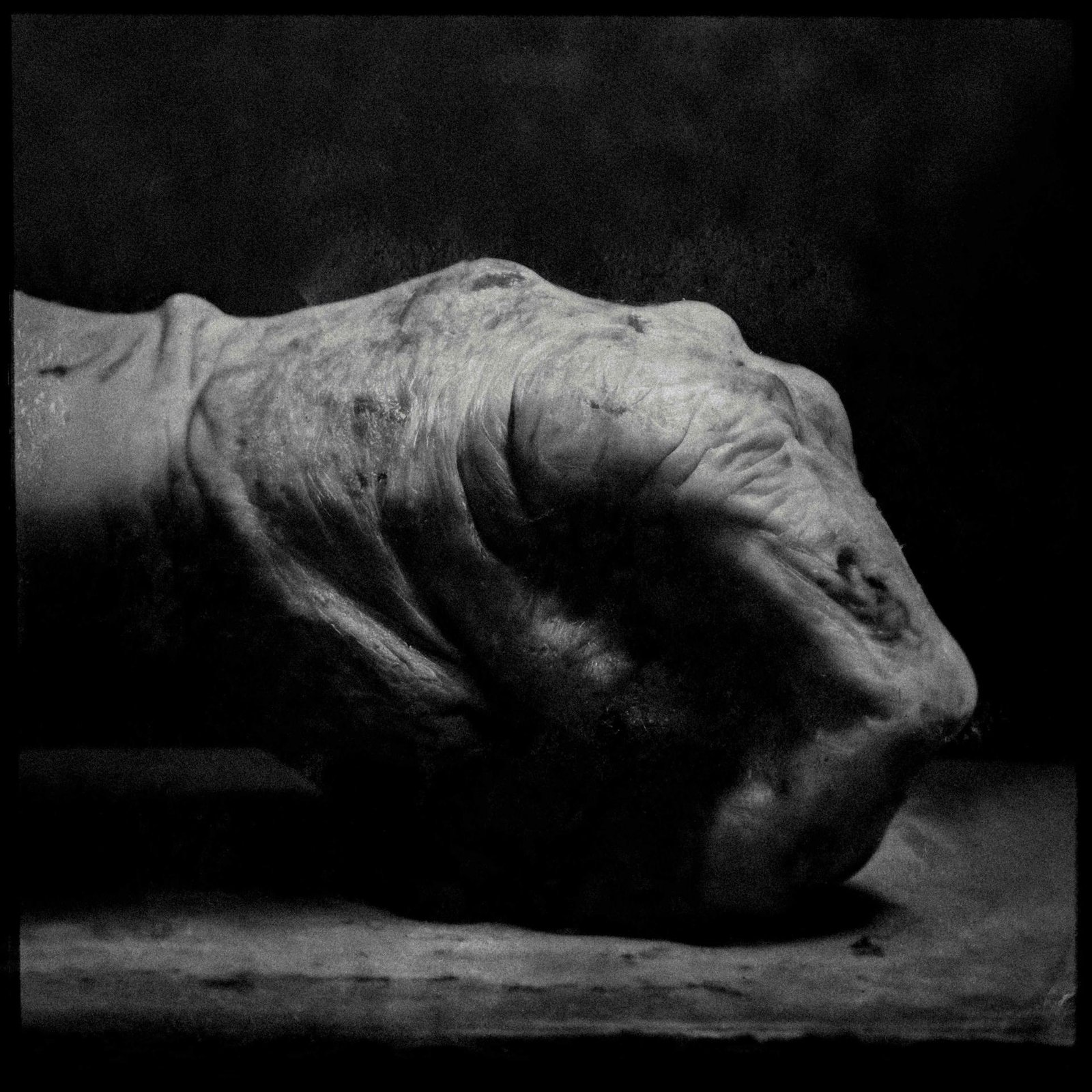 European Photography Awards Winner - In the folds of the night