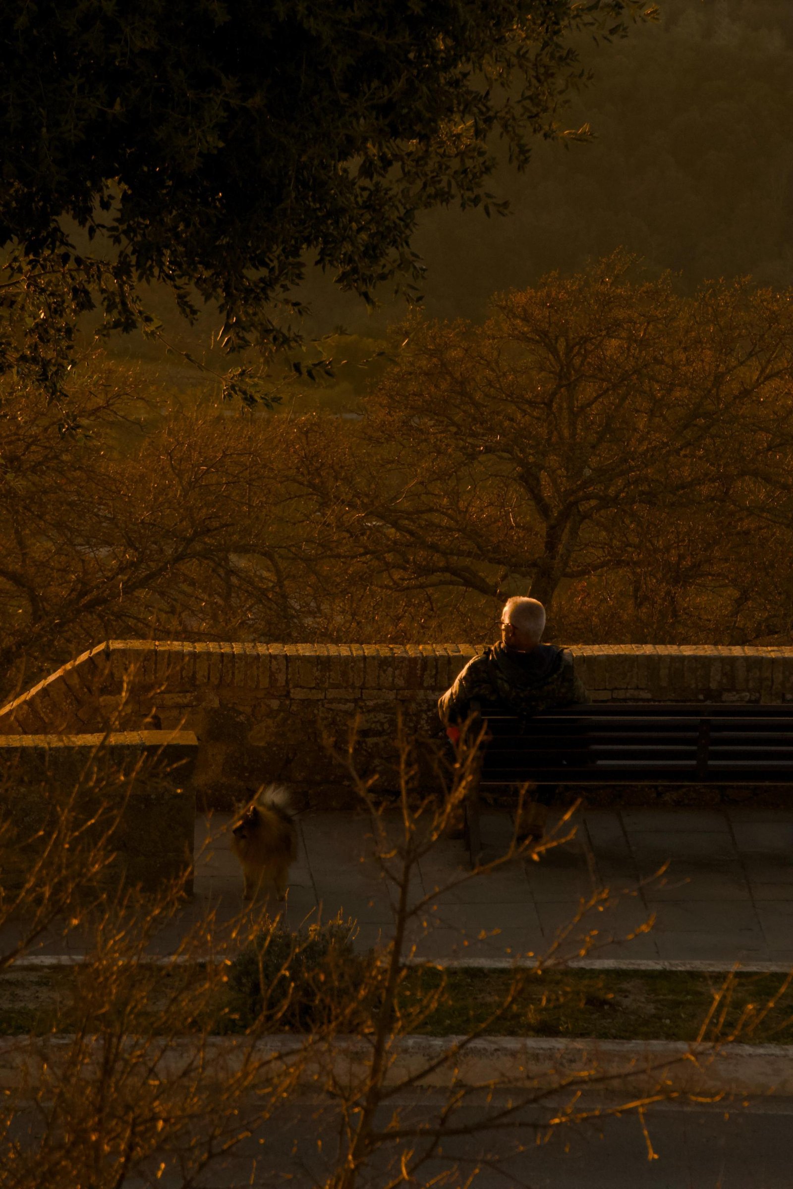 European Photography Awards Winner - Golden Solitude