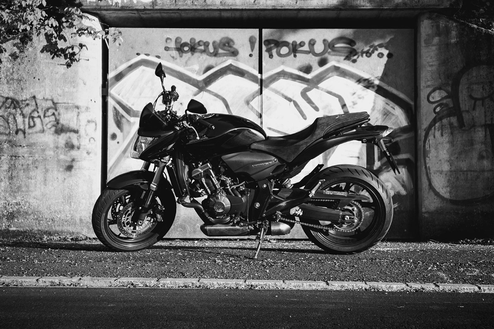 European Photography Awards Winner - Hokus, Pokus!