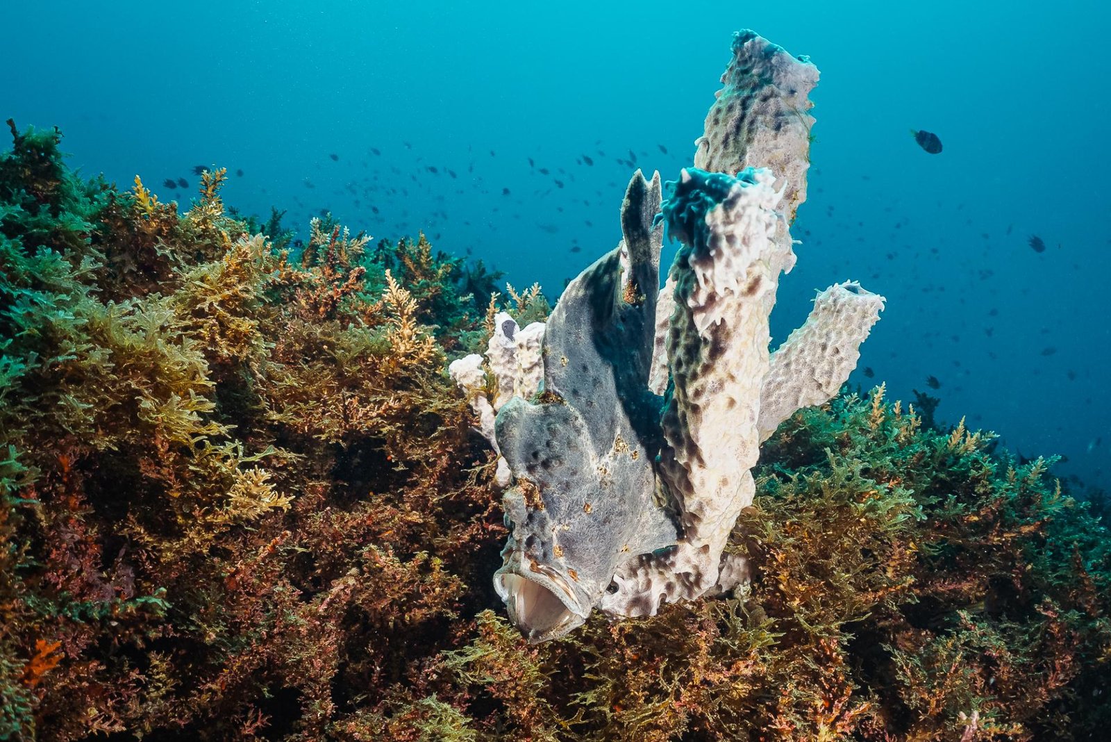 European Photography Awards Winner - can you spot it?