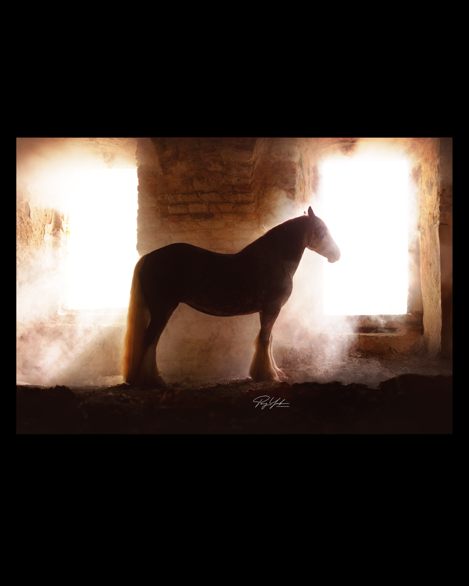 European Photography Awards Winner - Soul of Lights