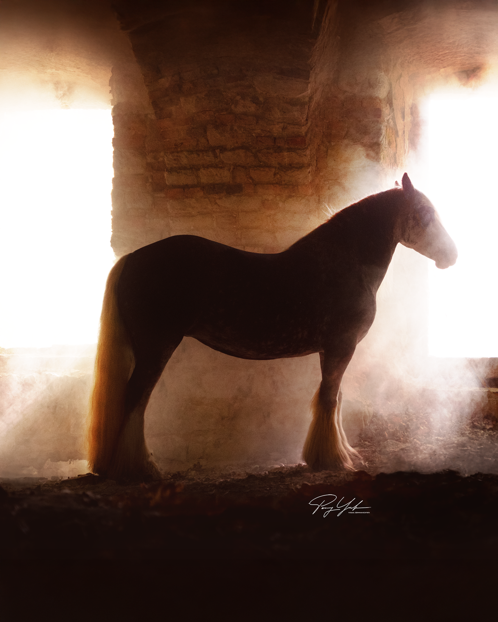 European Photography Awards Winner - Soul of Lights