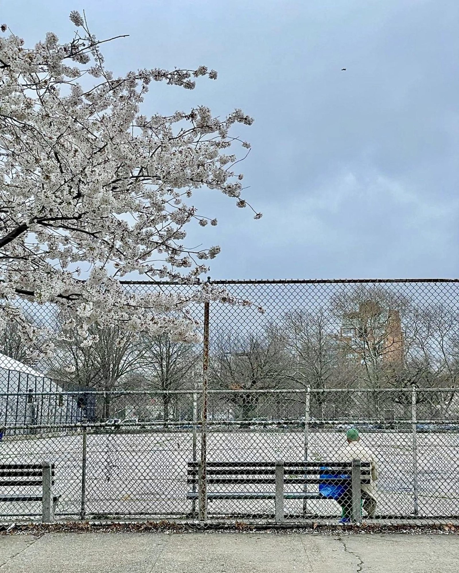 European Photography Awards Winner - Paradise is relative 