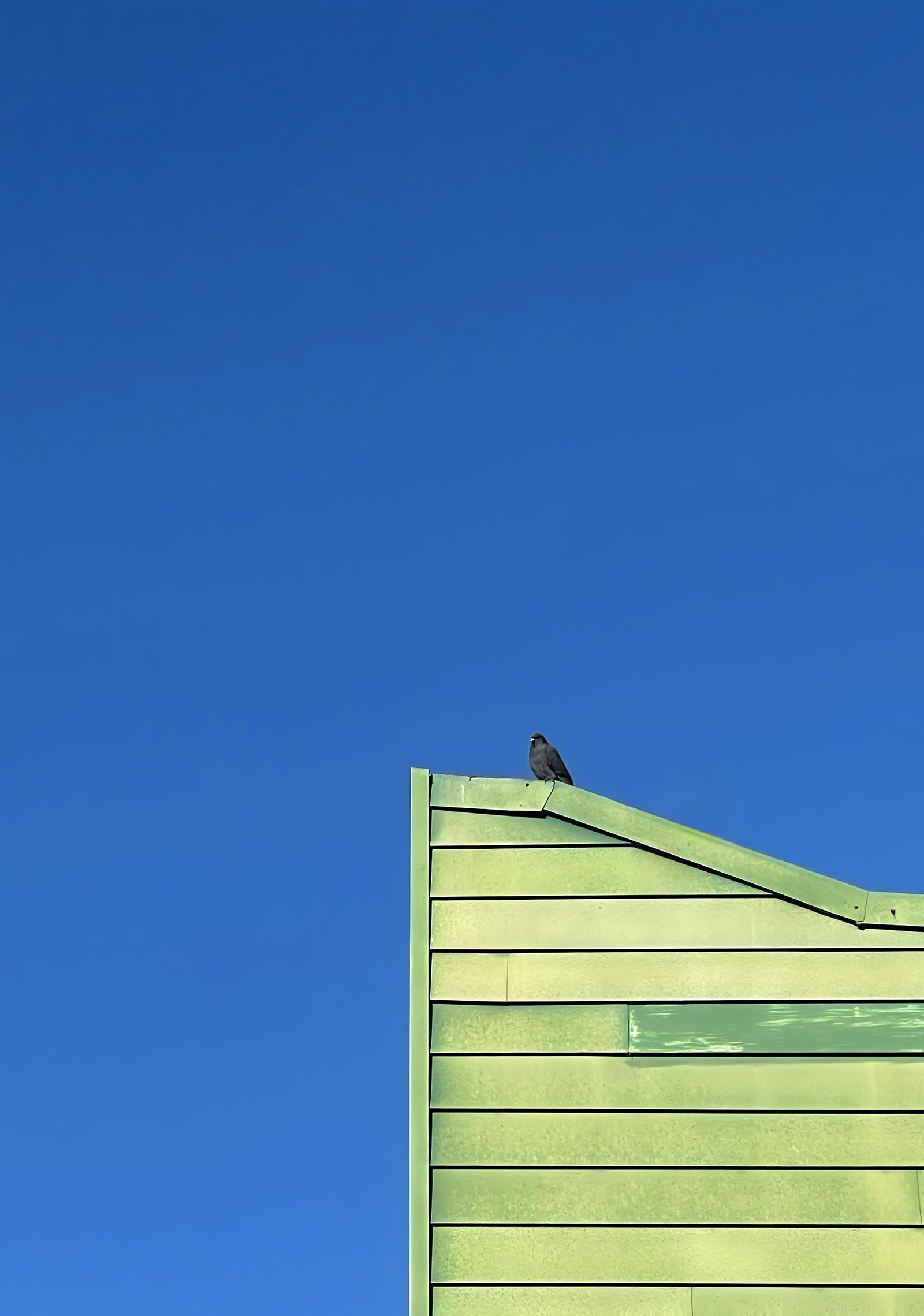 European Photography Awards Winner - Paradise is relative 