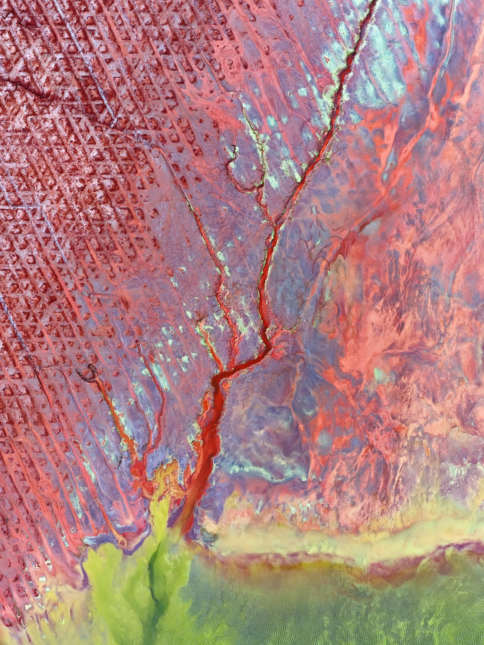 European Photography Awards Winner - Opal