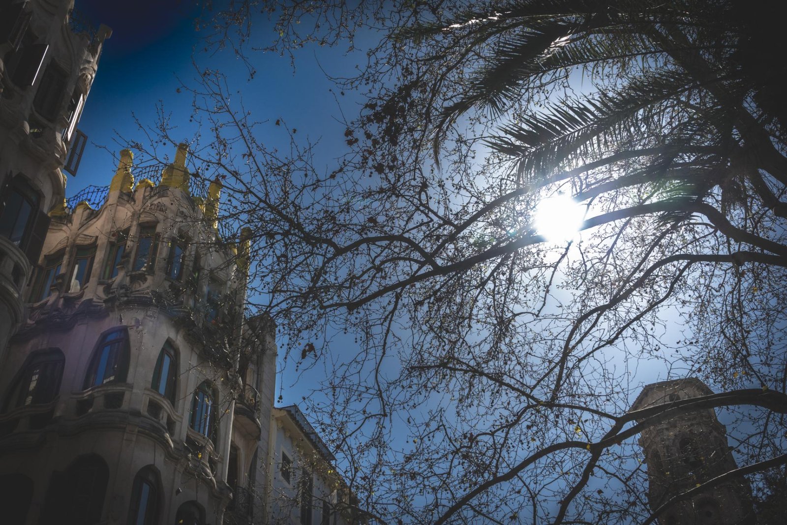 European Photography Awards Winner - Palma