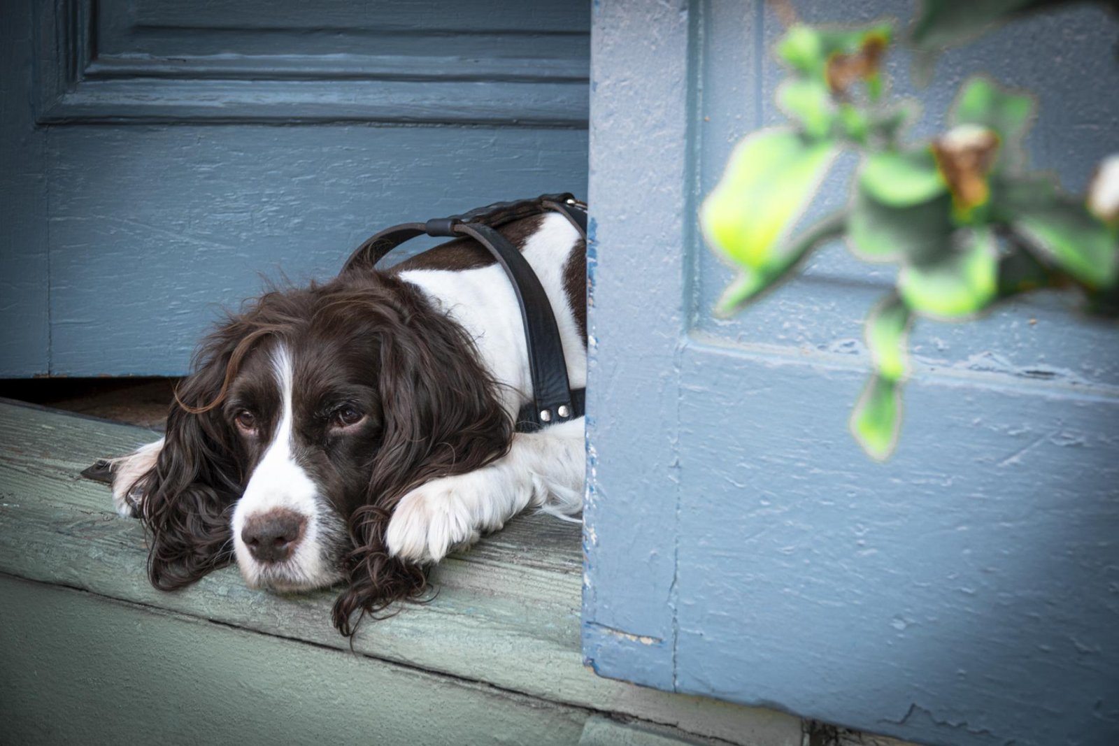 European Photography Awards Winner - Long Day