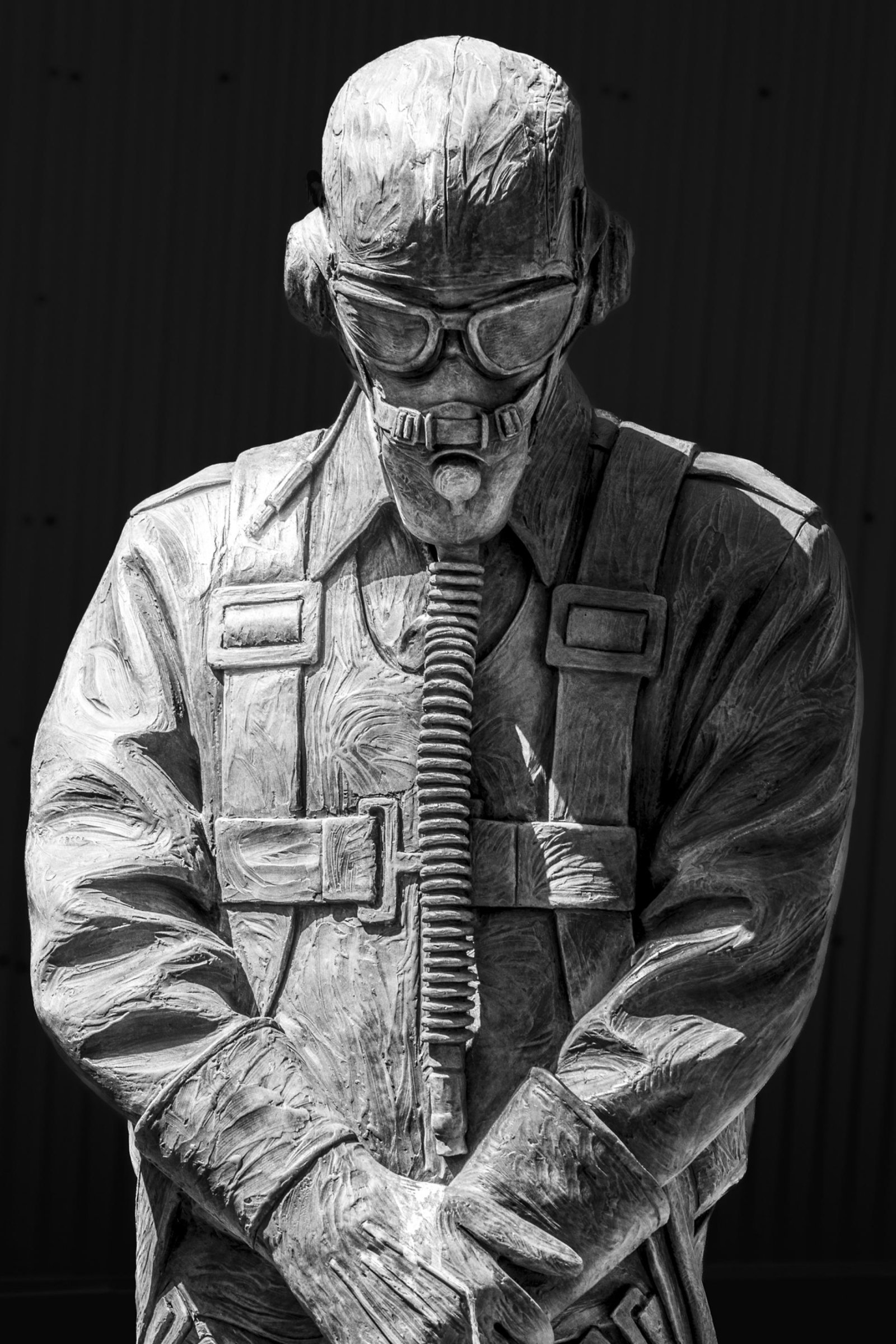 European Photography Awards Winner - Vigilant