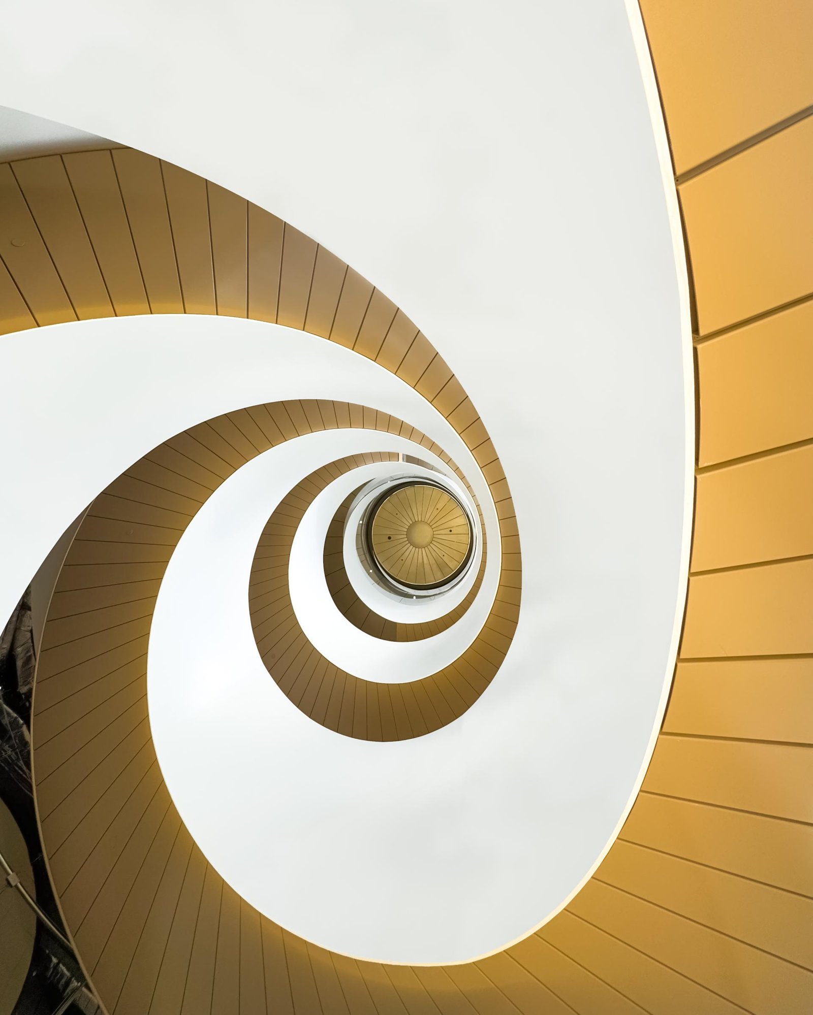 European Photography Awards Winner - Helix
