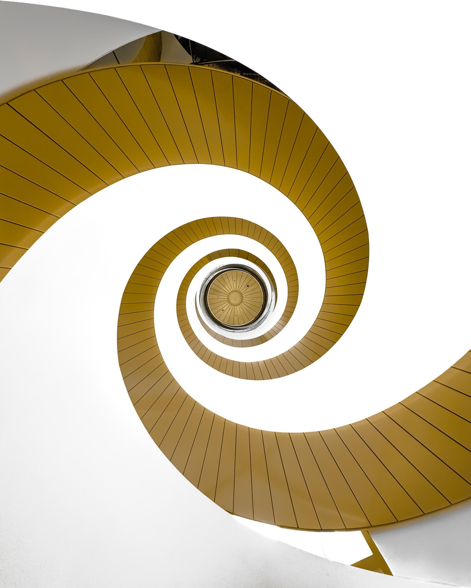 European Photography Awards Winner - Helix