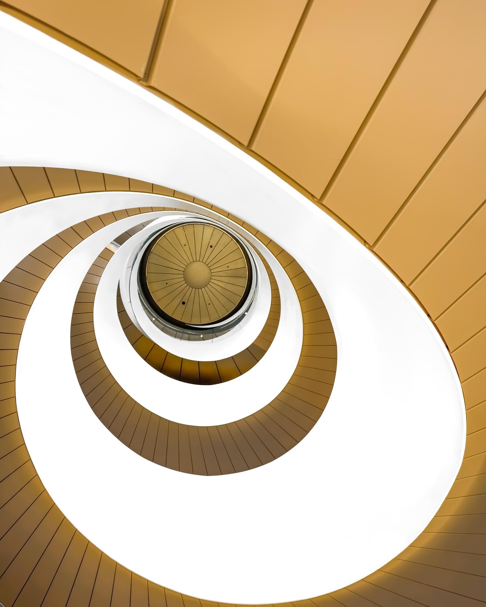 European Photography Awards Winner - Helix