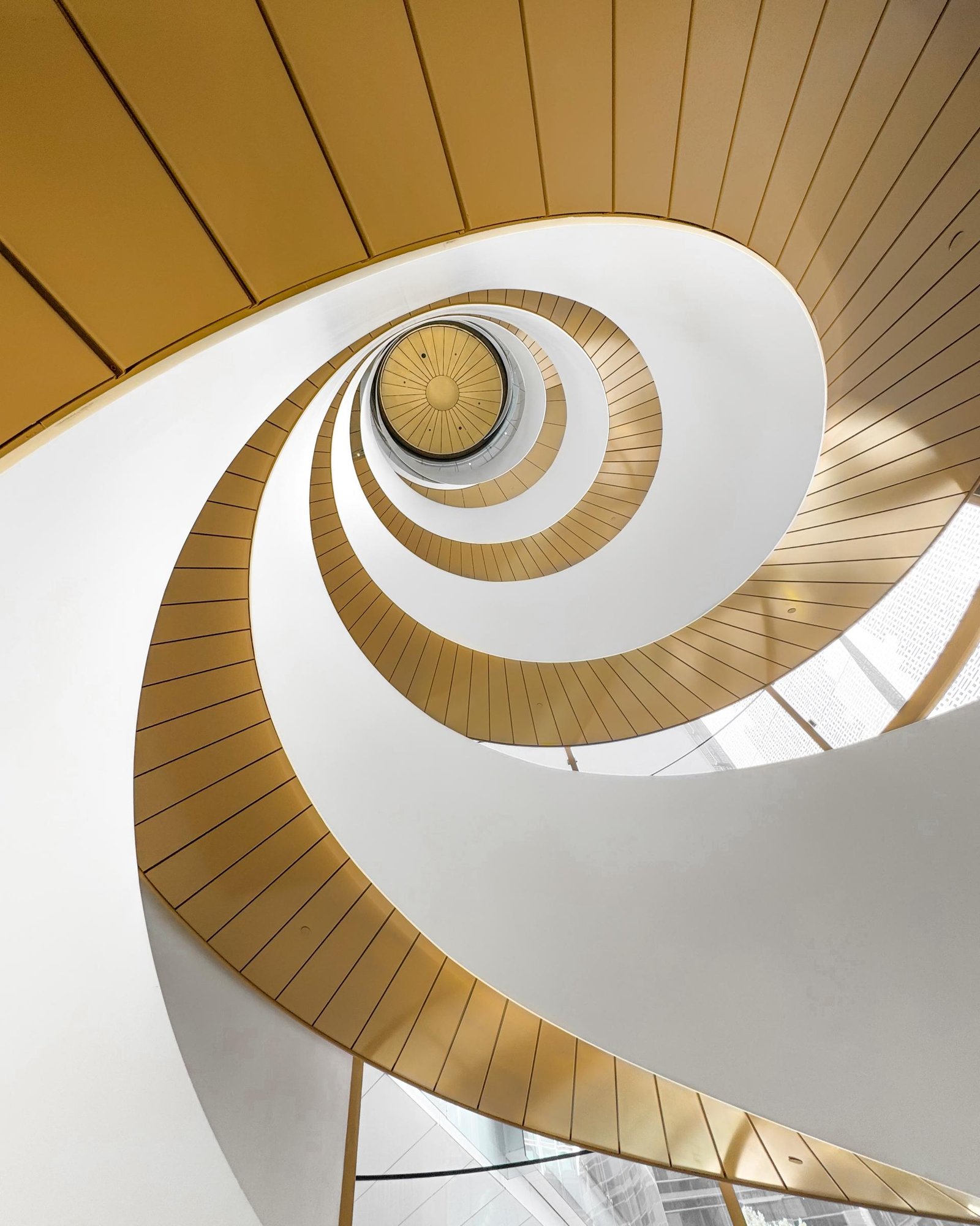 European Photography Awards Winner - Helix