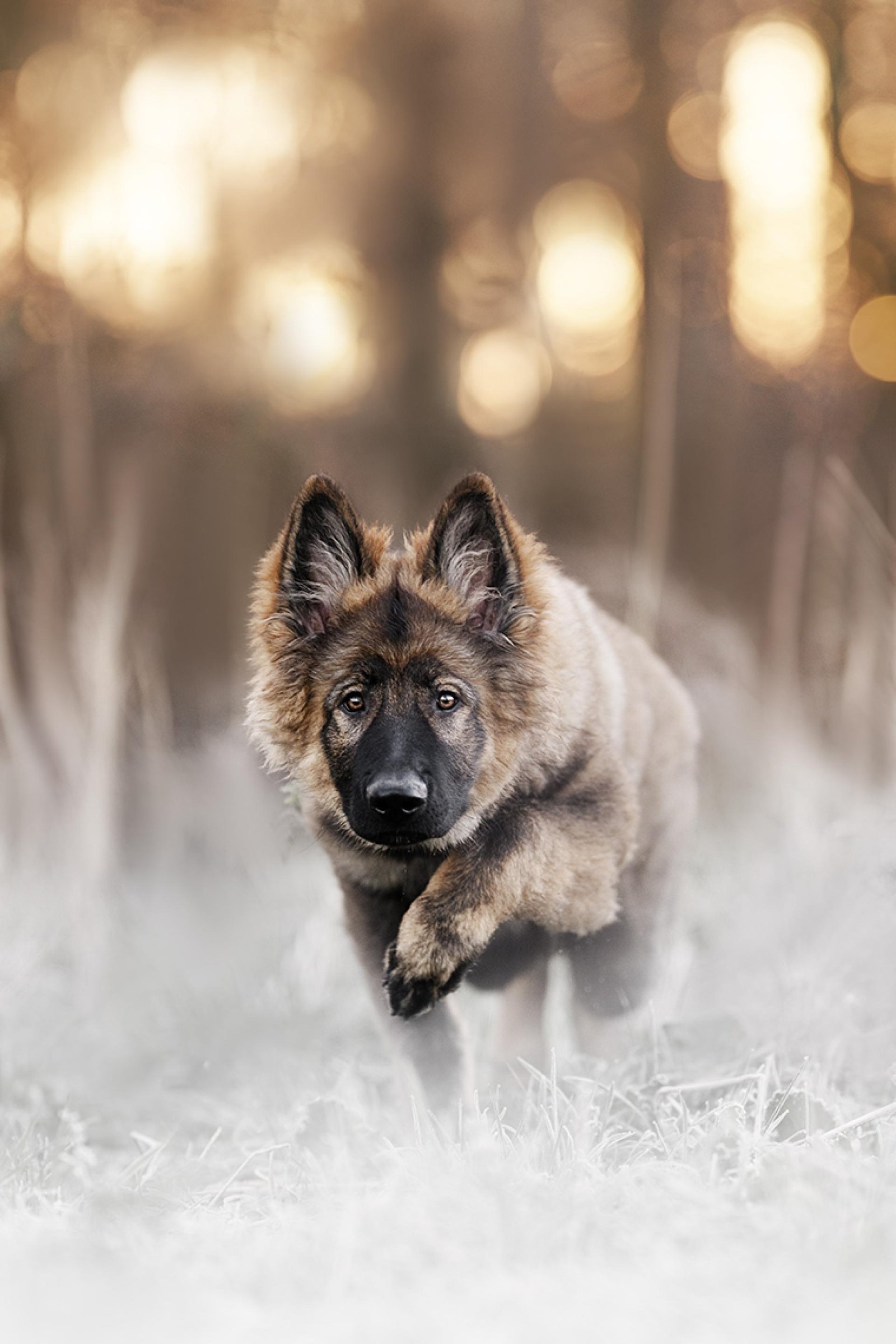 European Photography Awards Winner - Gaze