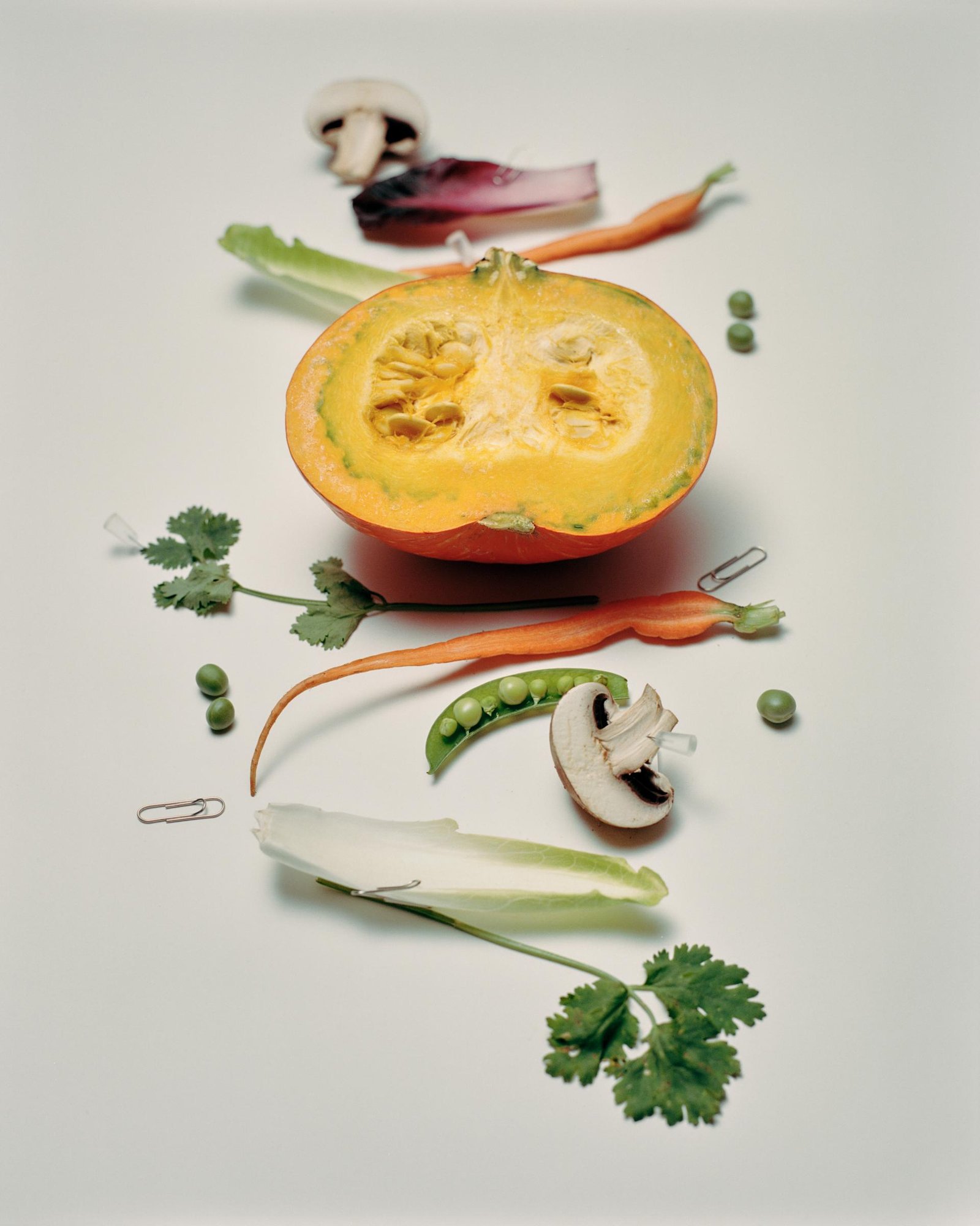 European Photography Awards Winner - Their Monologue