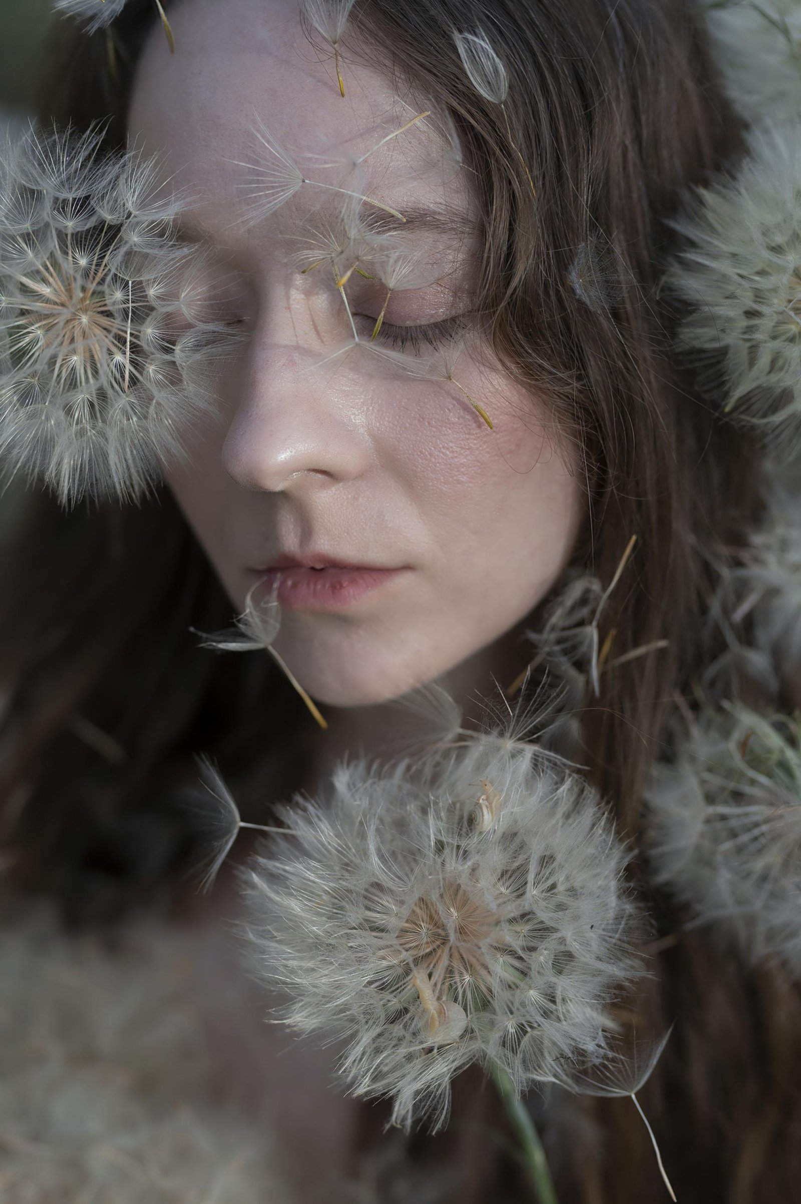 European Photography Awards Winner - Flor del Viento