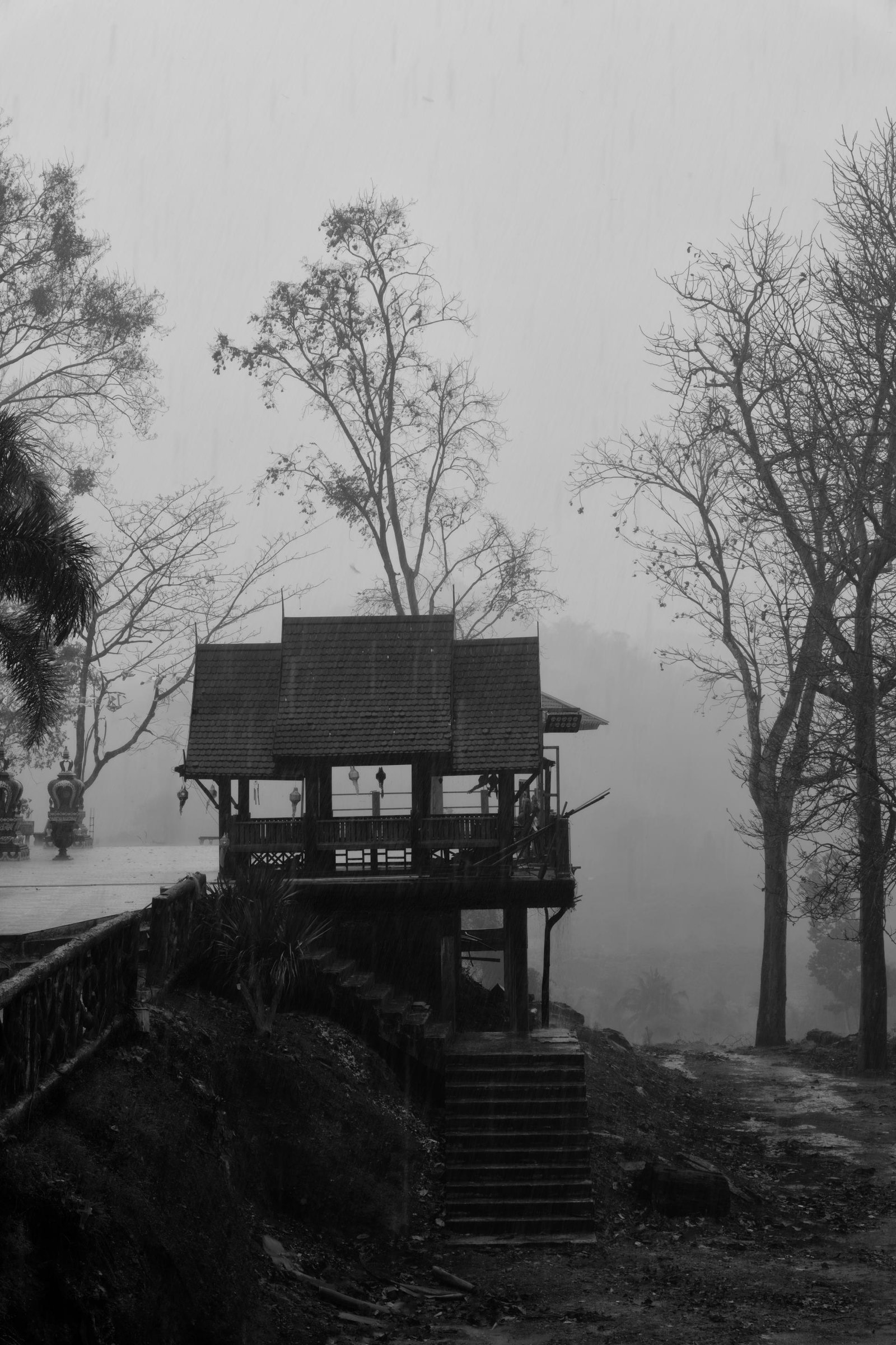 European Photography Awards Winner - Forest Temple, Rain