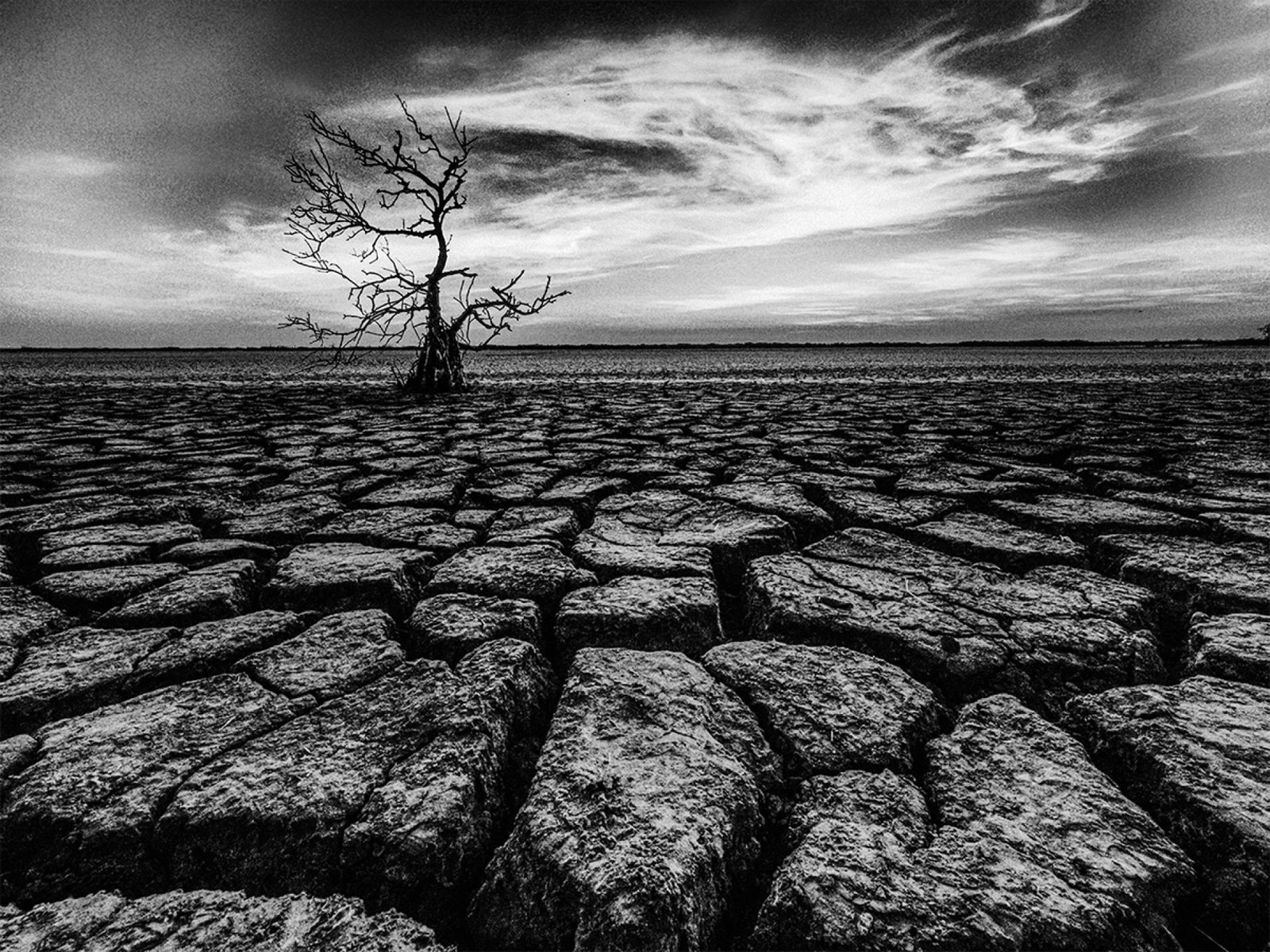 European Photography Awards Winner - Dry land
