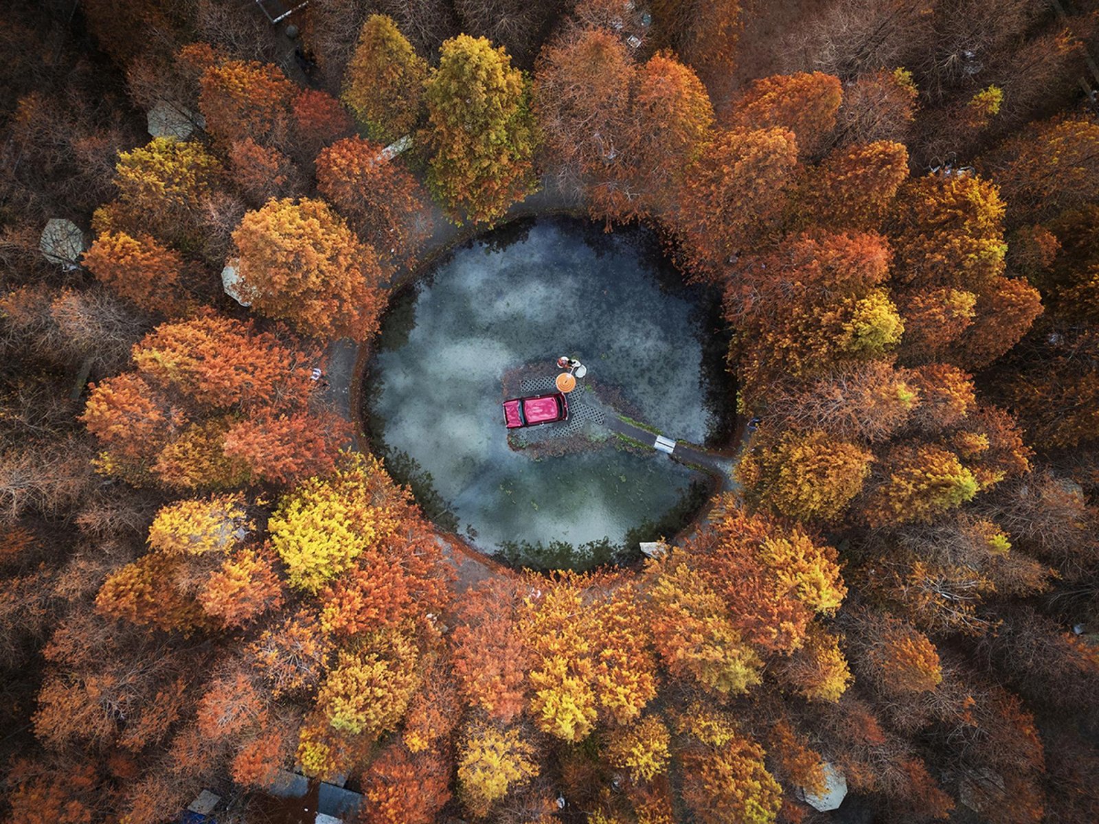 European Photography Awards Winner - The Beautiful larch forest