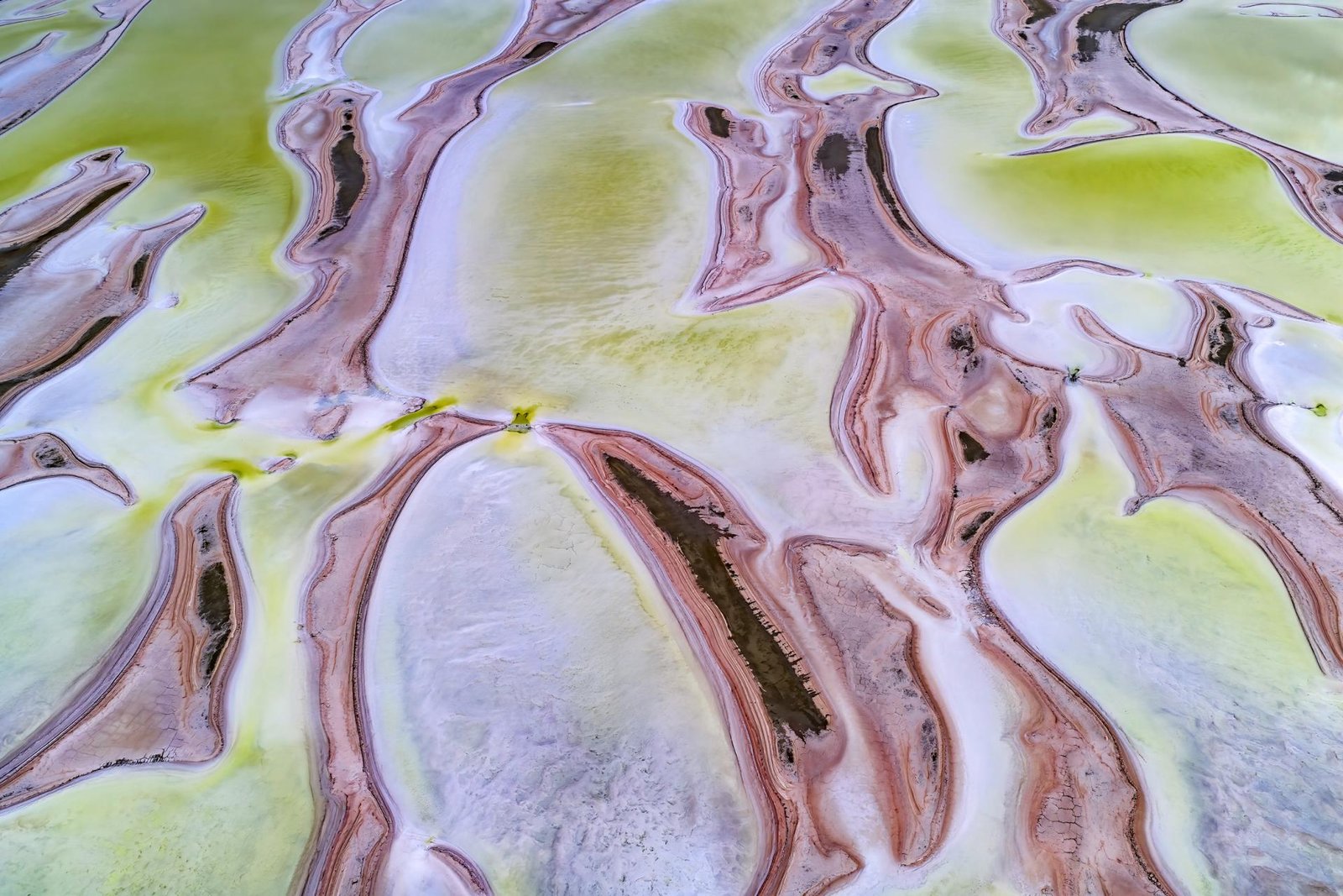 European Photography Awards Winner - Zest