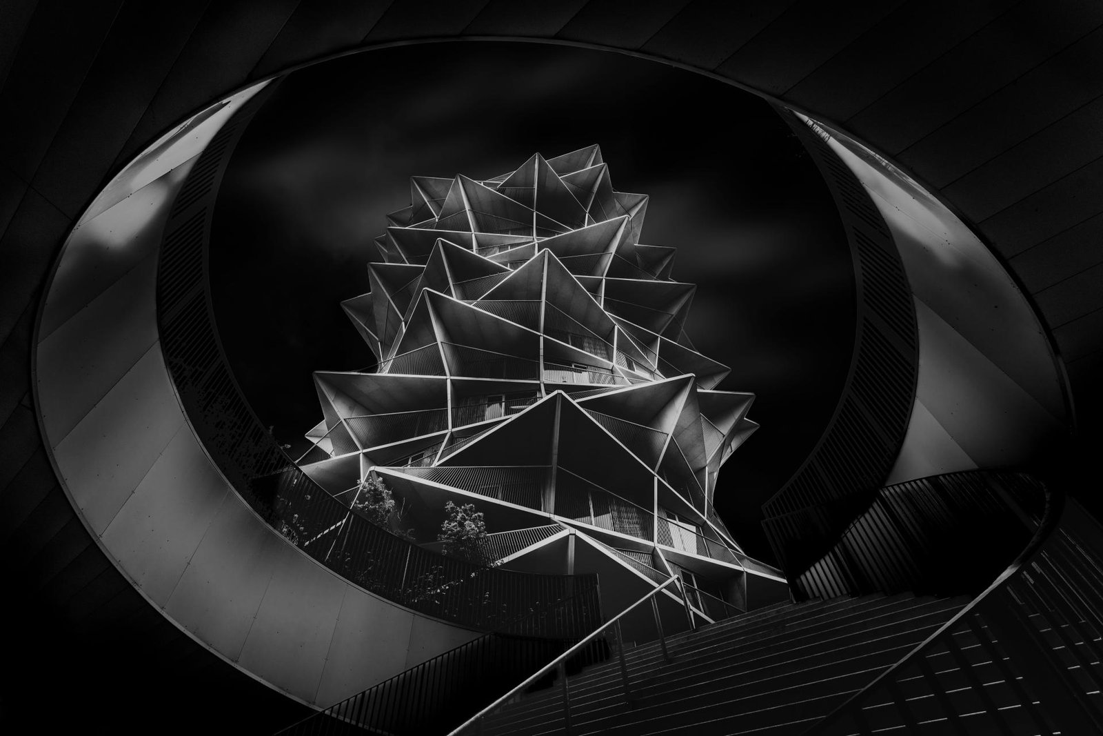 European Photography Awards Winner - the Cactus