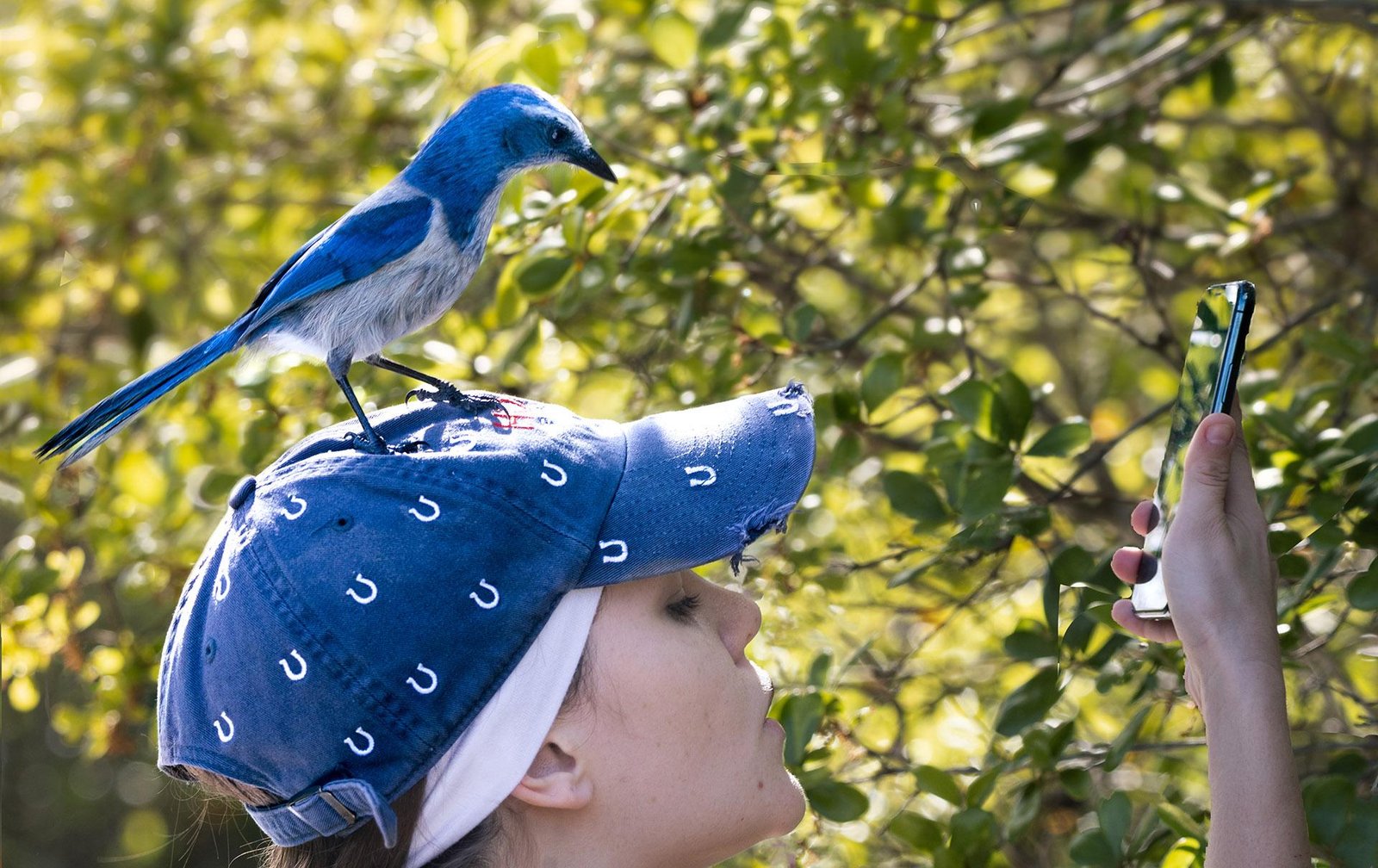 European Photography Awards Winner - Takin' a Selfie 