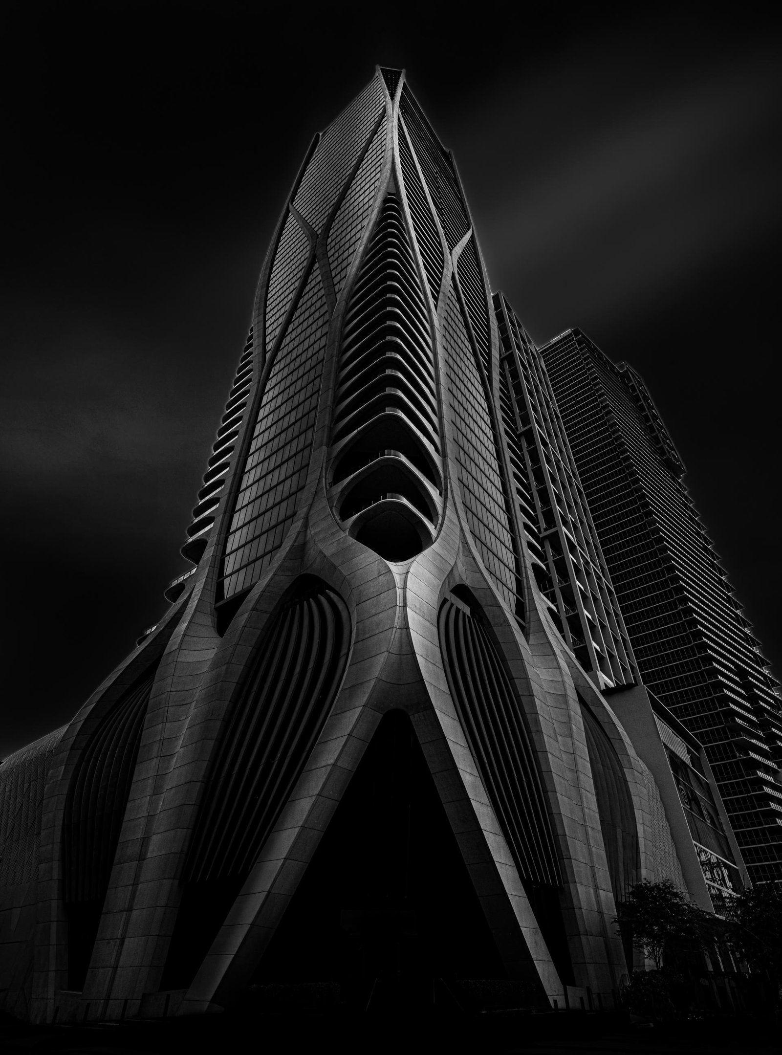 European Photography Awards Winner - Curved Beauty