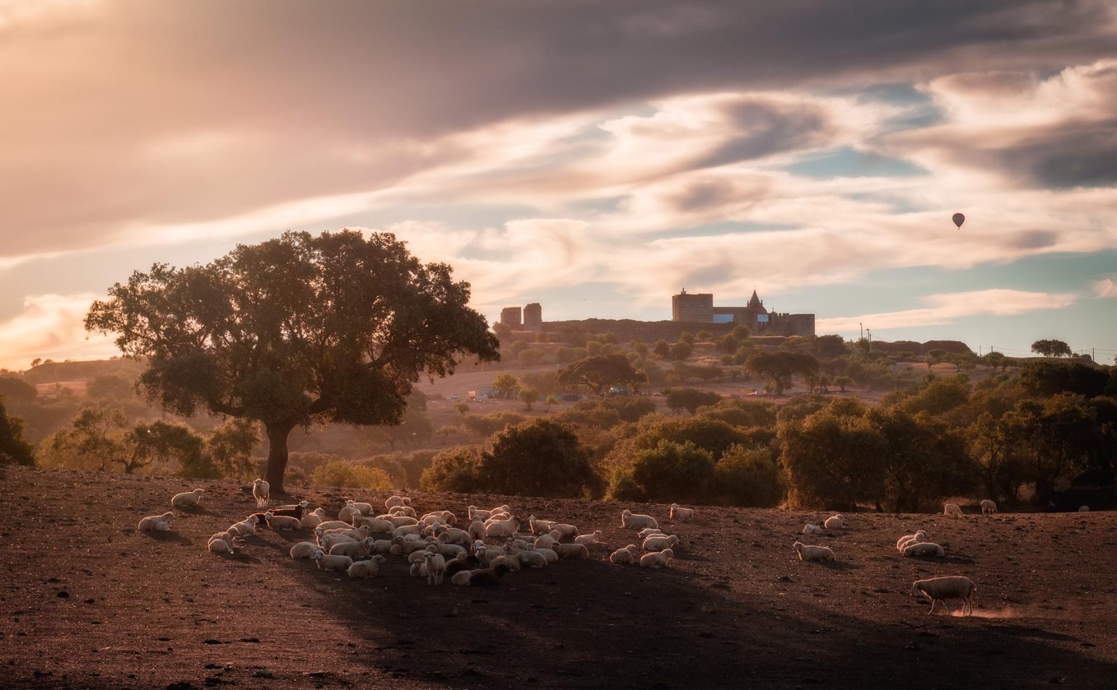 European Photography Awards Winner - Castelo de Mourão Alentejo